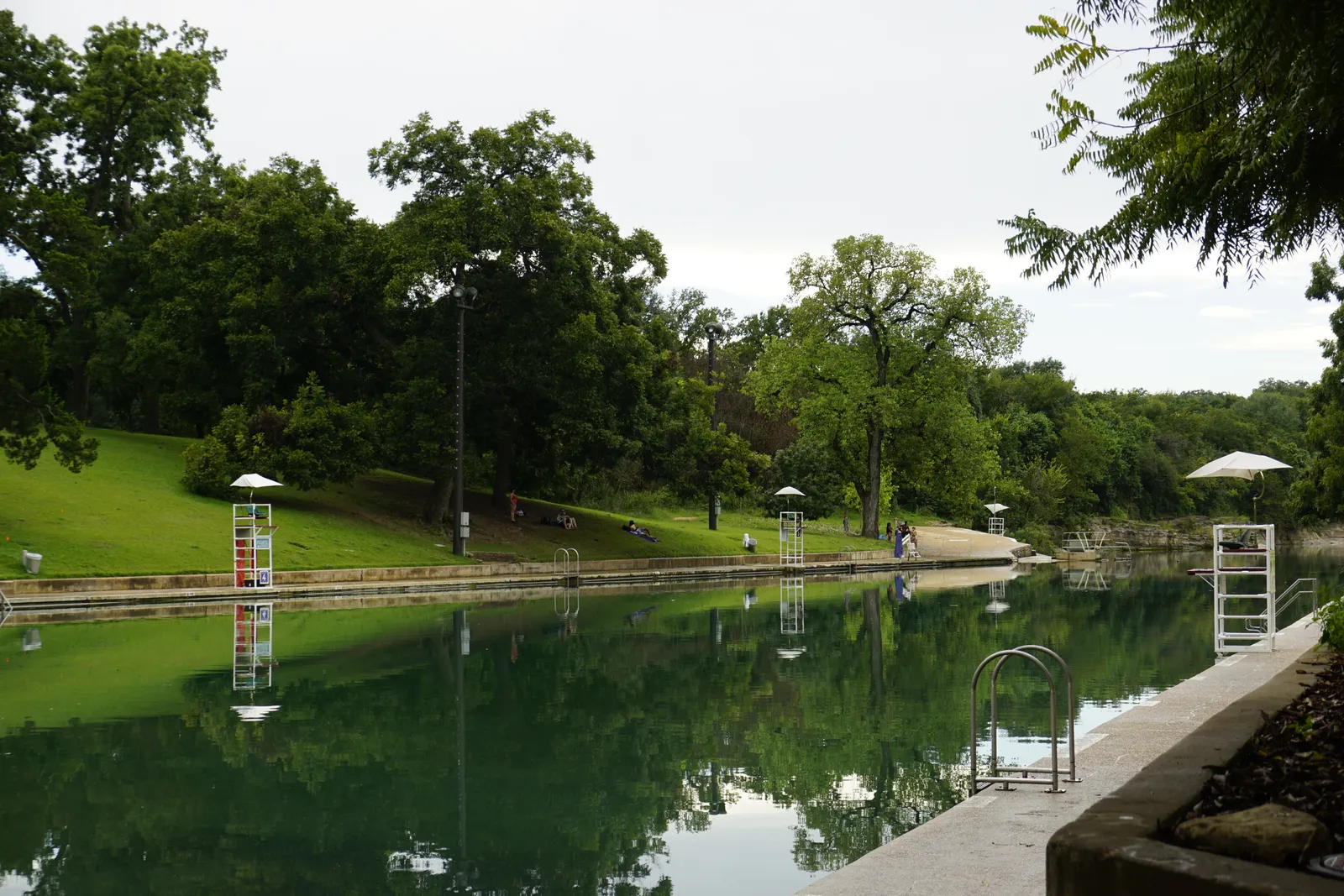 Barton Springs Pool in Austin, a long green-water swimming pool set into a grassy park slope, with lifeguard stands along the near edge and mature trees reflected in the still surface