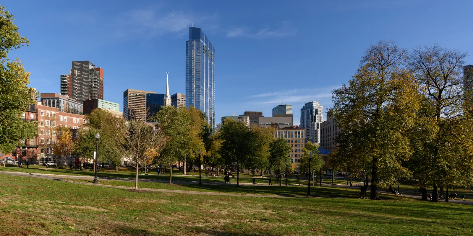 The open lawn and tree line of Boston Common in autumn, with the Back Bay skyline standing behind the western edge of the park