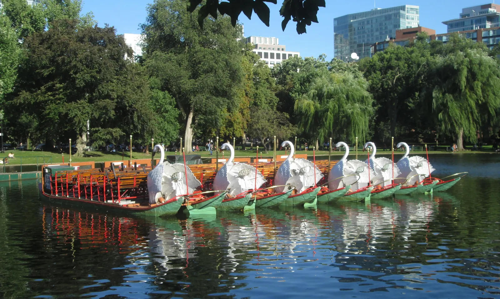 A line of swan boats moored at the dock on the Boston Public Garden lagoon, each a green pedal barge with a white swan shell over the seat at the stern