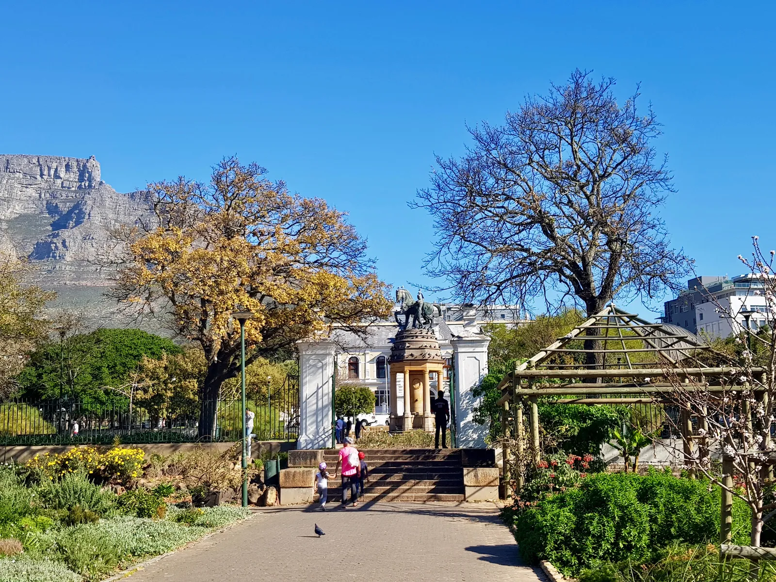 A paved path through the Company's Garden in Cape Town between flowerbeds and autumn trees, leading to a monument on steps, with the cliffs of Table Mountain rising behind