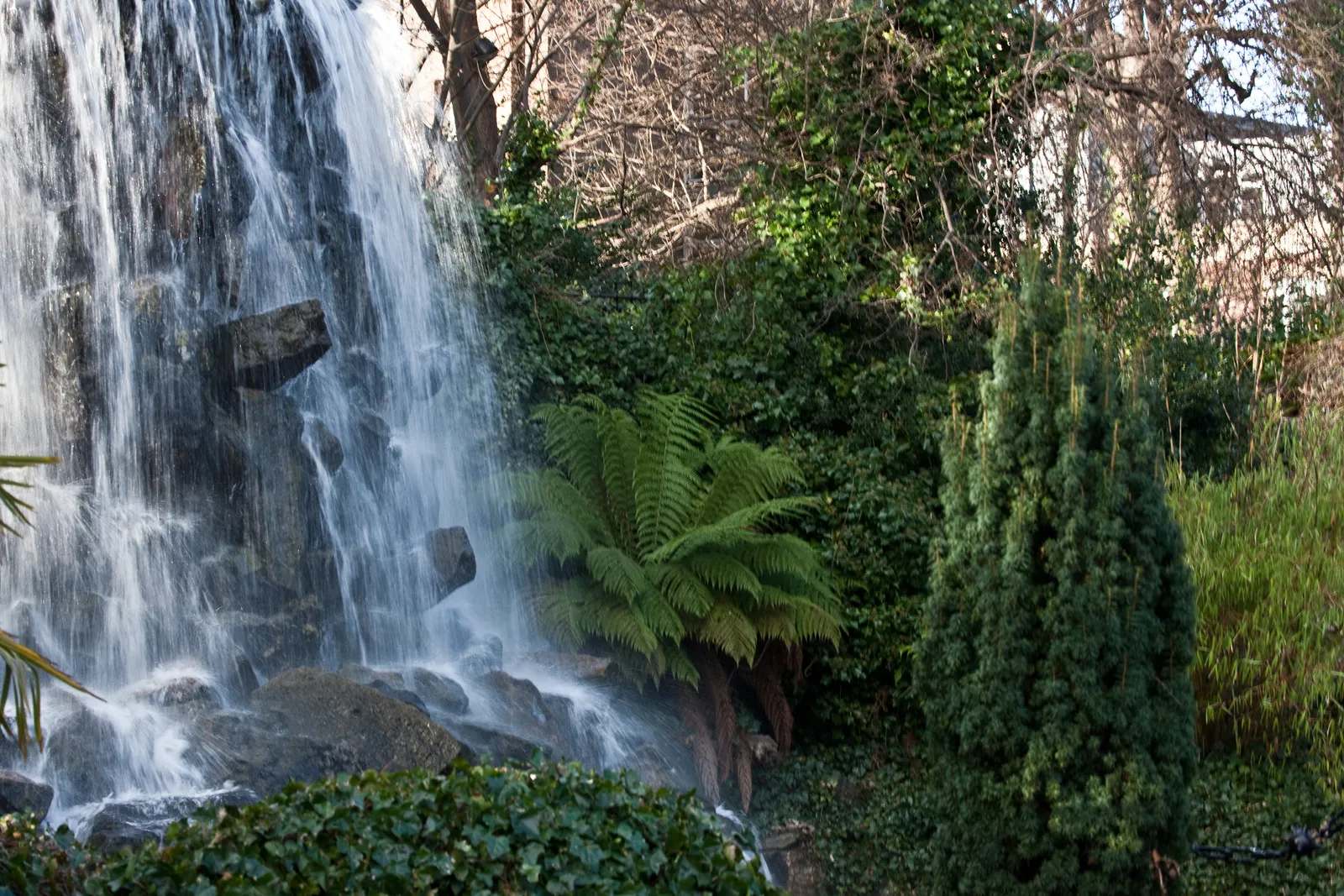 The cascade in the Iveagh Gardens in Dublin, water falling over a bank of stacked rocks into a pool, with tree ferns and dense evergreen planting crowding in on both sides