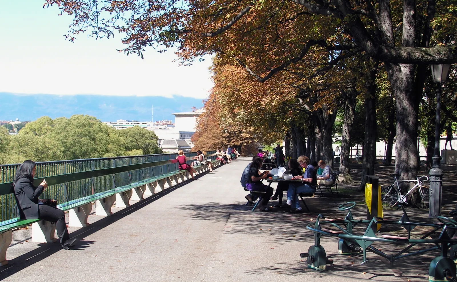 The long green wooden bench running the length of the Promenade de la Treille in Geneva, chestnut trees shading the gravel walk and people sitting out along the railing