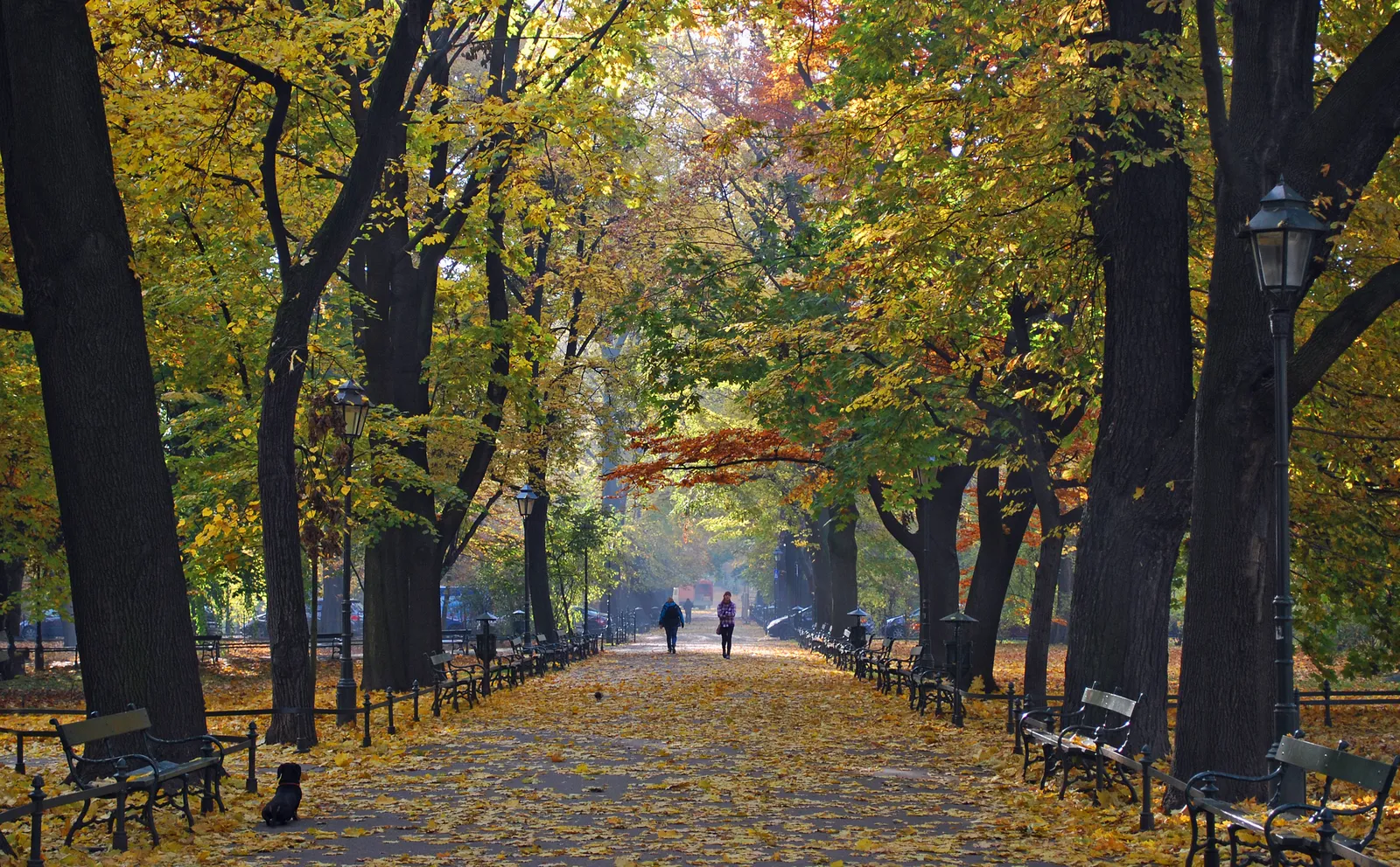A path through the Planty in Kraków in autumn, benches and lamp posts down both sides under tall trees, with fallen yellow leaves covering the ground and two people walking in the distance