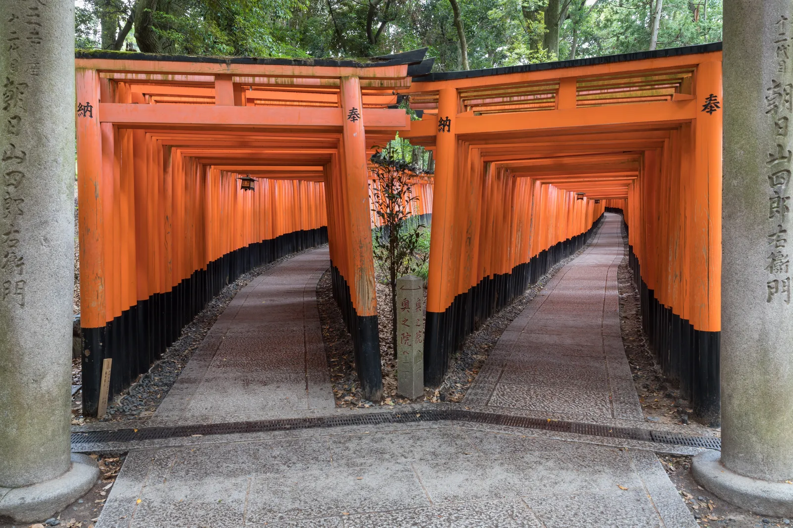 Two parallel tunnels of vermilion torii gates at Fushimi Inari shrine in Kyoto, the gates set close enough together to close over the stone paths beneath them, with black lettering on the uprights