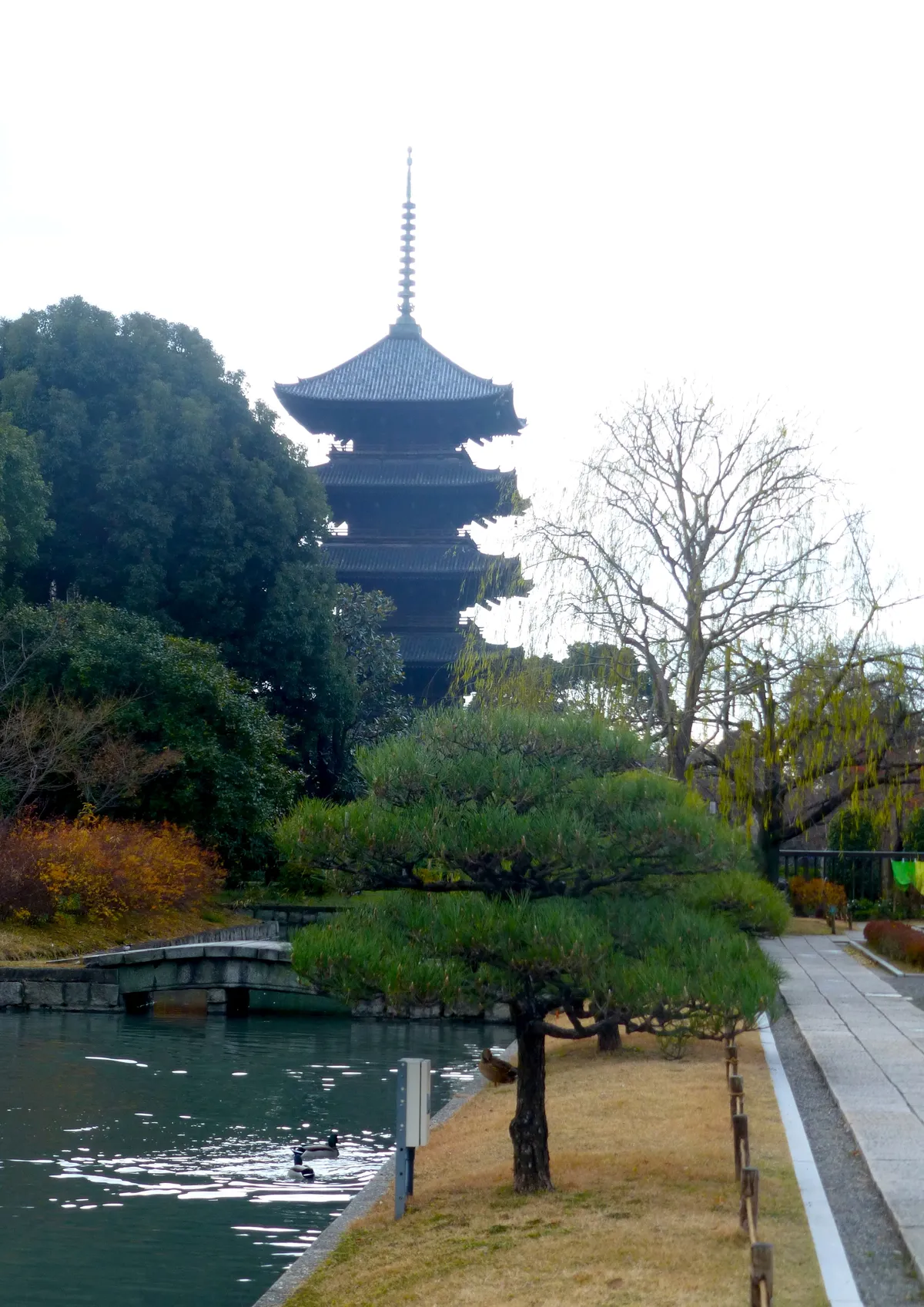 The five-storey wooden pagoda at To-ji in Kyoto rising above the trees, its stacked tiled roofs and long finial seen across the temple pond with a clipped pine in the foreground