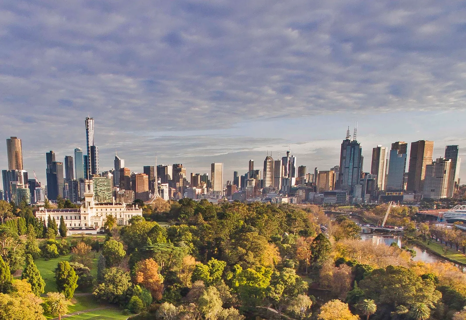 The tree canopy of the Royal Botanic Gardens Melbourne seen from above, with Government House among the trees and the city towers on the horizon behind