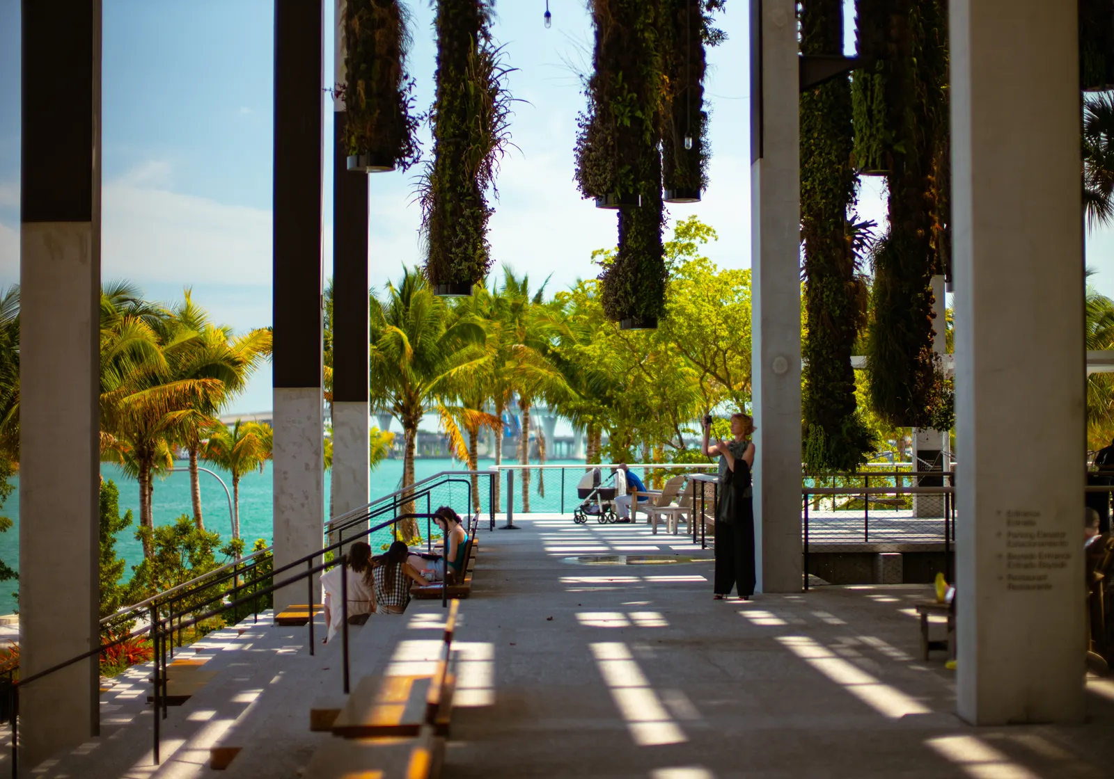 The shaded veranda under Pérez Art Museum Miami, with planted columns hanging from the canopy above, slender pillars, palm trees and Biscayne Bay in the background
