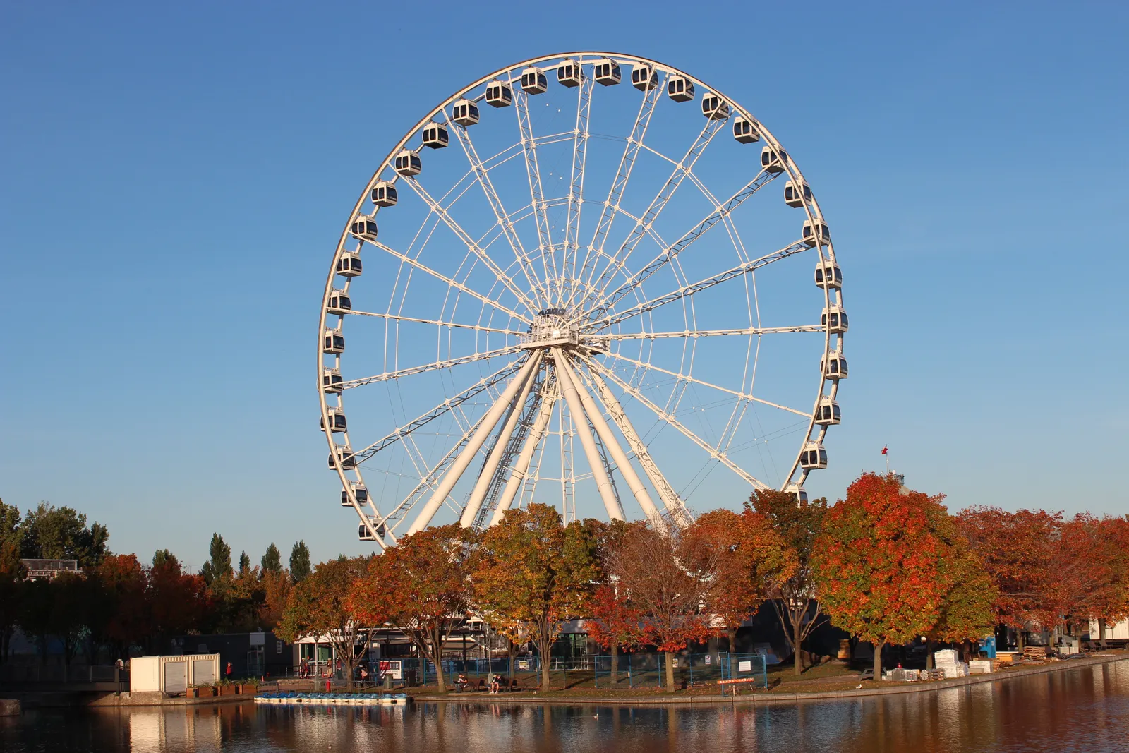 The white observation wheel of La Grande Roue standing over the Old Port basin in Montreal, with autumn trees along the quay in front of it and a clear blue sky behind