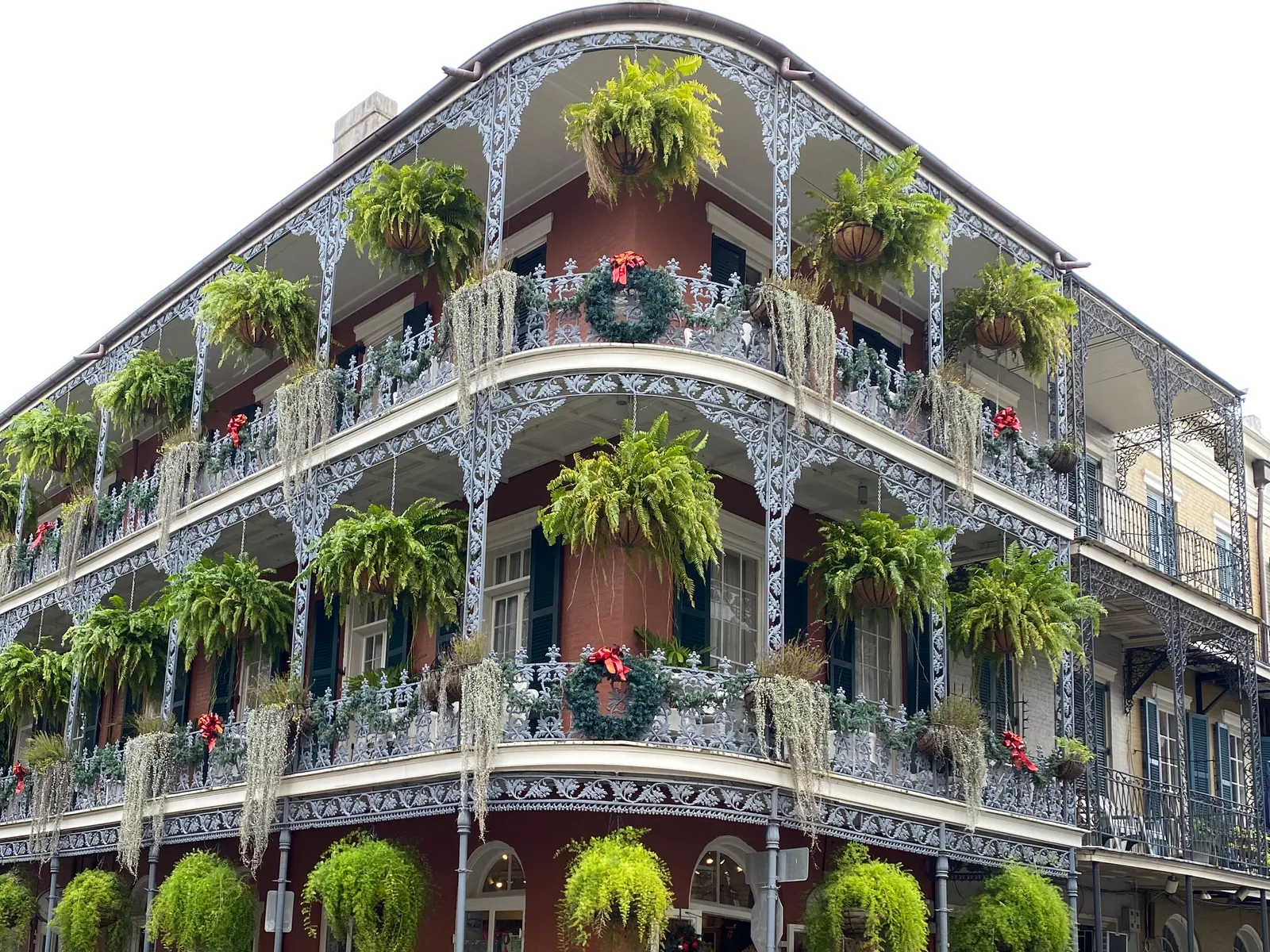 The corner of the LaBranche buildings in the New Orleans French Quarter, white cast-iron galleries in an oak leaf and acorn pattern wrapping three floors of a dark red brick building, ferns hanging from the railings