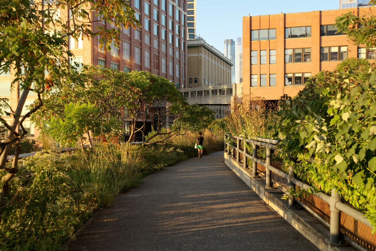 A planted walkway on the High Line in New York running between brick and glass buildings, with the old rail viaduct's railings alongside the path