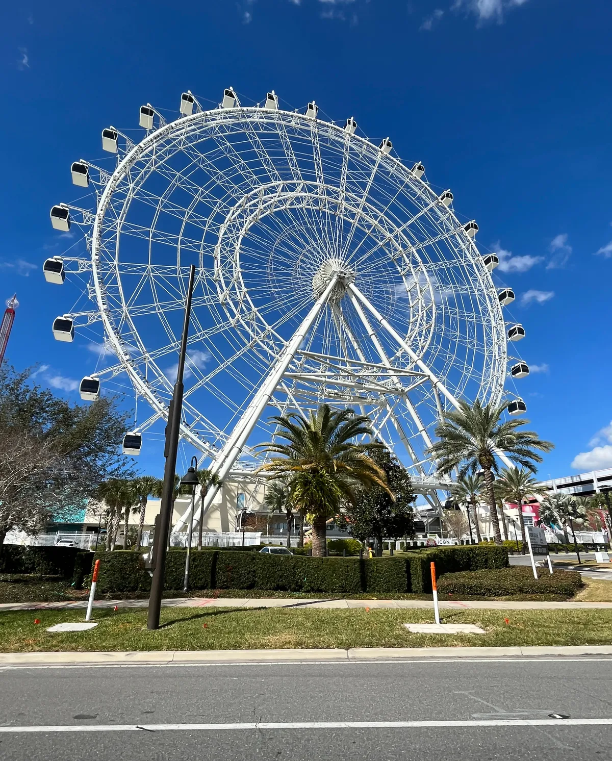 The white observation wheel at ICON Park rising above palm trees and the kerb of International Drive against a clear blue sky, its passenger capsules spaced around the rim