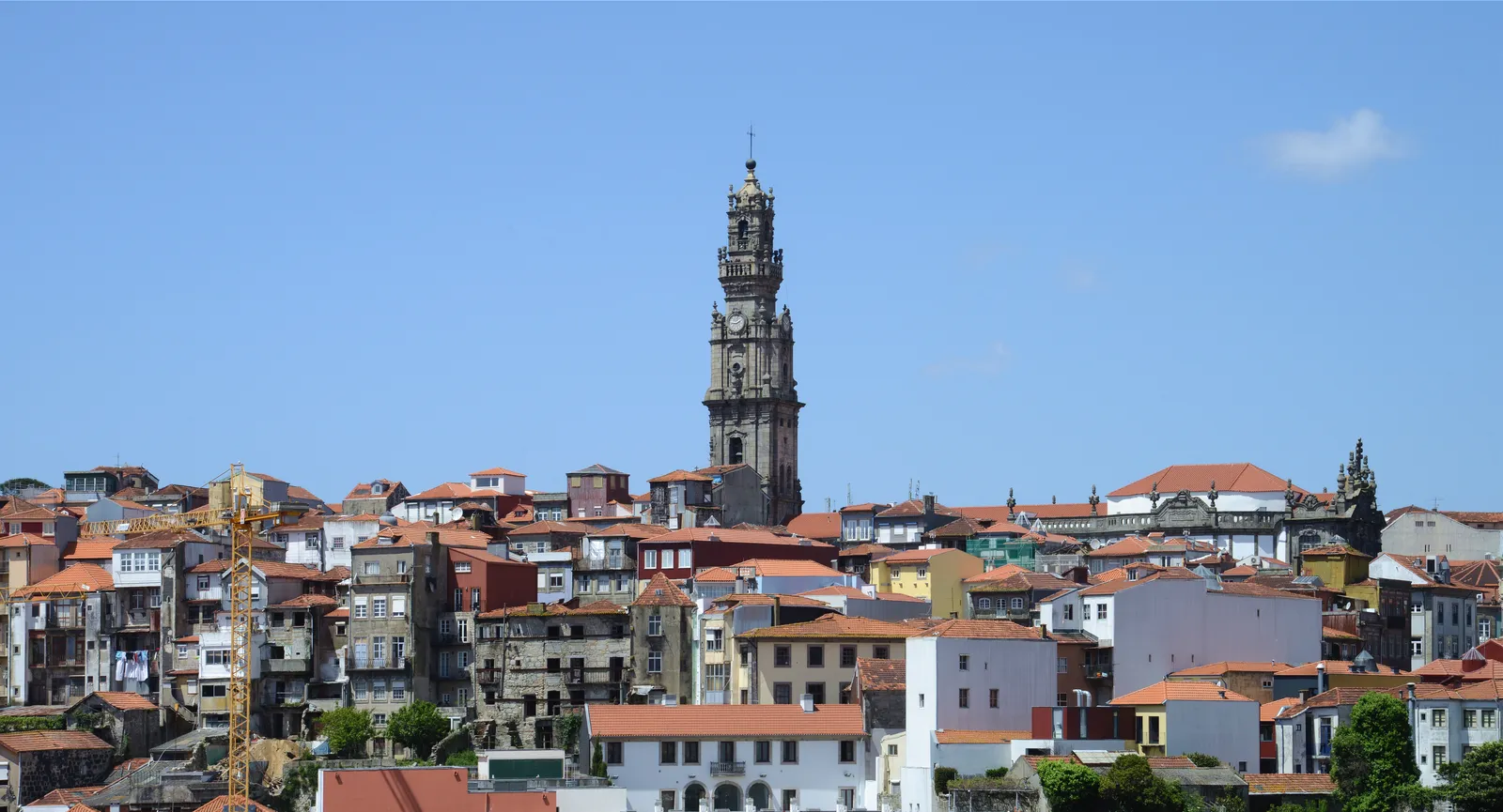 The baroque Clérigos Tower rising above a dense slope of terracotta rooftops in central Porto under a clear sky