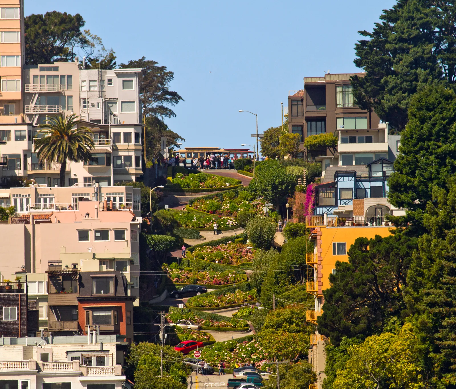 The crooked block of Lombard Street in San Francisco seen from below, its red brick roadway switching back between planted hedges and flowerbeds with houses stacked up either side