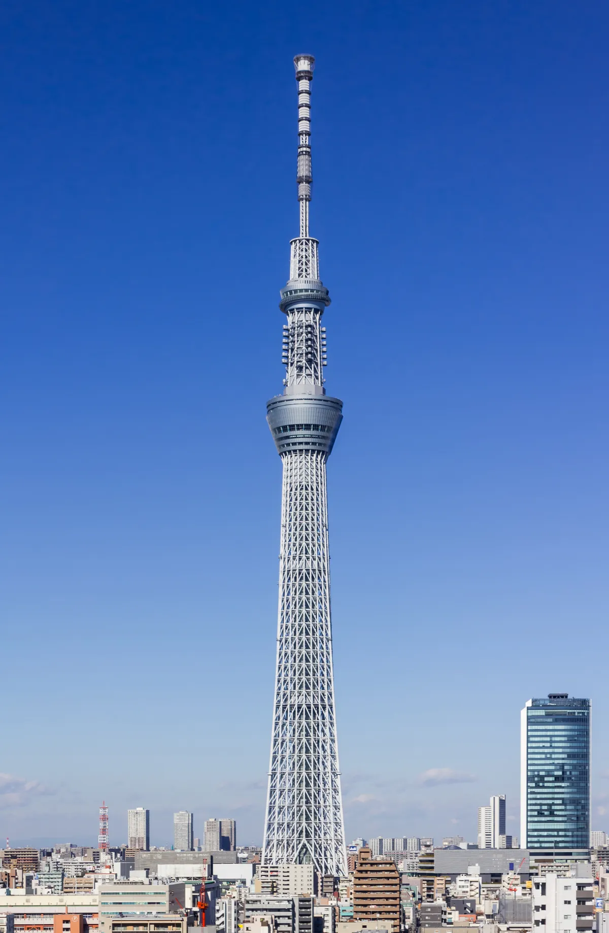 Tokyo Skytree against a clear blue sky, a white latticed tower tapering from a wide tripod base past two ringed observation decks to a long mast, with the low rooftops of Sumida spread out beneath it