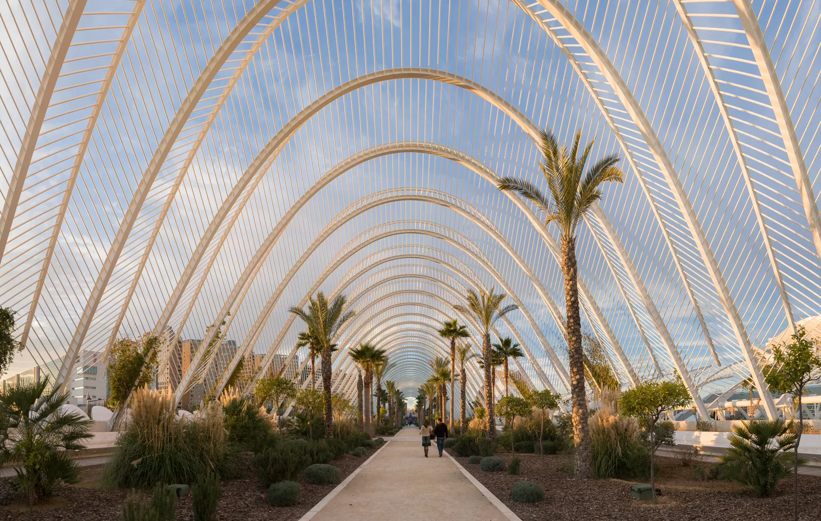 The Umbracle at the City of Arts and Sciences in Valencia, a long tunnel of white steel arches over a paved walkway lined with palms and low planting