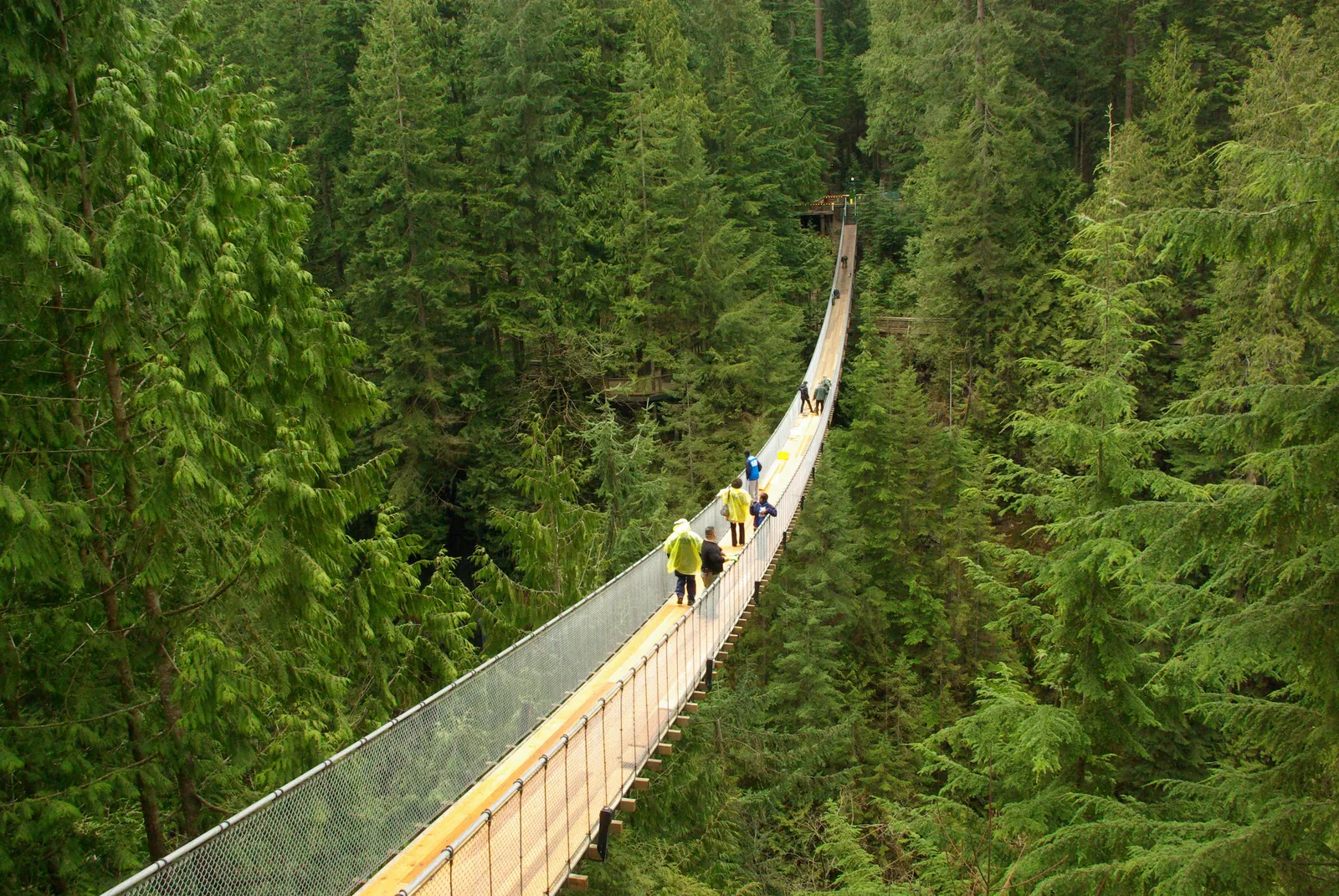 The Capilano Suspension Bridge strung across a forested canyon in North Vancouver, with a handful of visitors walking its narrow plank deck between stands of tall conifers