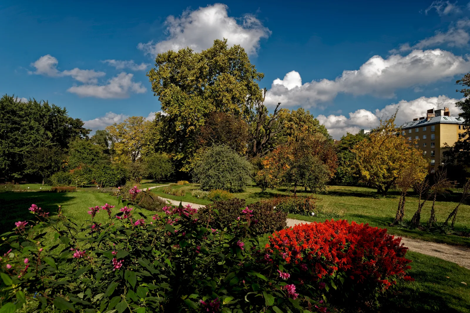 A flowerbed of red and pink blooms in the foreground of the University of Vienna's botanical garden, with a gravel path, lawns and trees leading back to an apartment building under a partly clouded sky