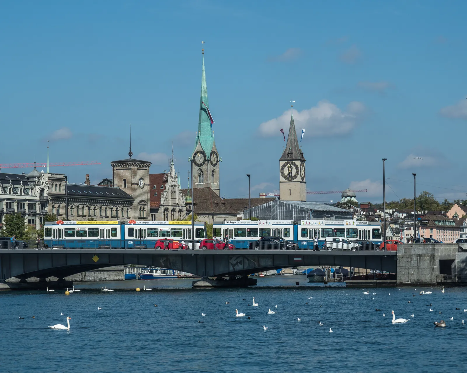 The Quaibrücke at the lake end of central Zurich with two trams crossing it, swans on the water in the foreground, and the Fraumünster's green spire and St. Peter's clock tower behind the bridge