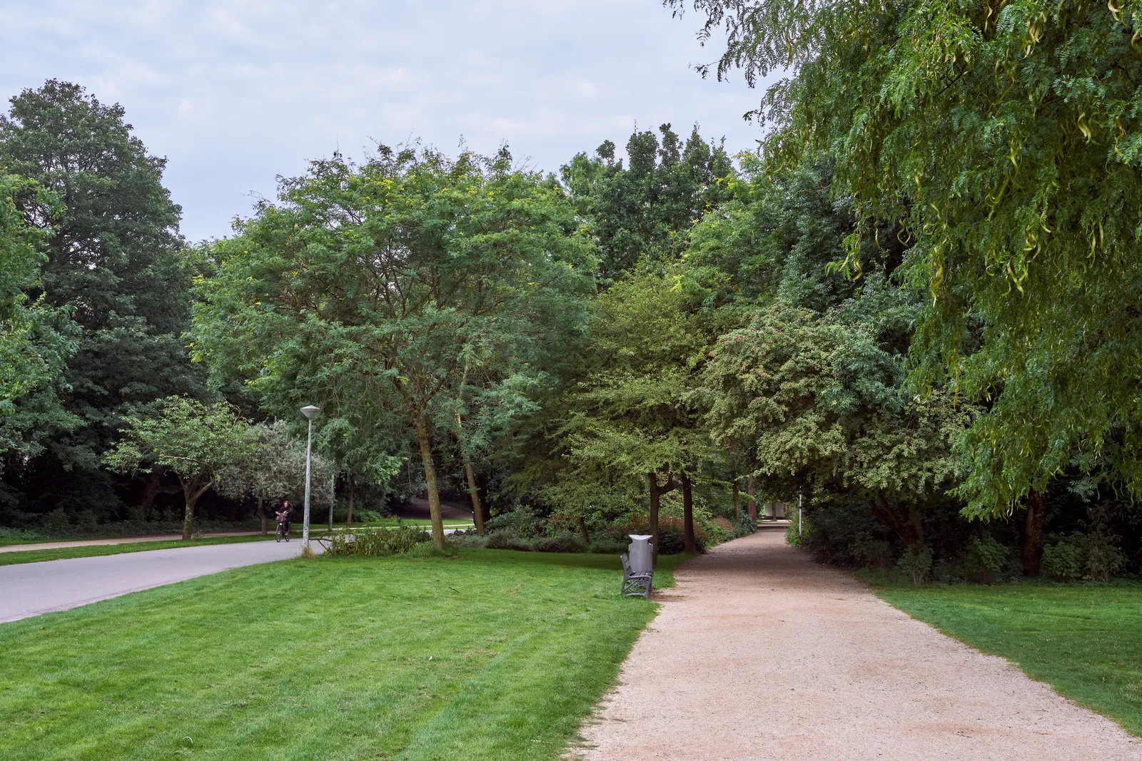 Two parallel routes through Vondelpark: a smooth asphalt cycle path curving away on the left and a wide loose-gravel footpath on the right, separated by a strip of mown grass