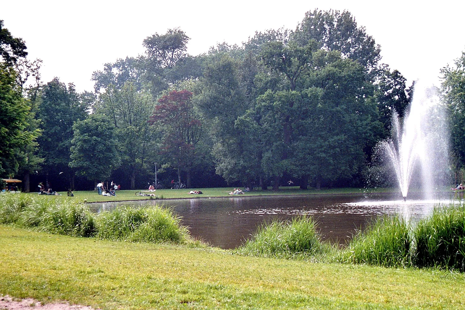 A pond in Vondelpark in Amsterdam with a tall fountain playing at one end, people lying and sitting on the grass along the far bank, and dense summer trees behind them