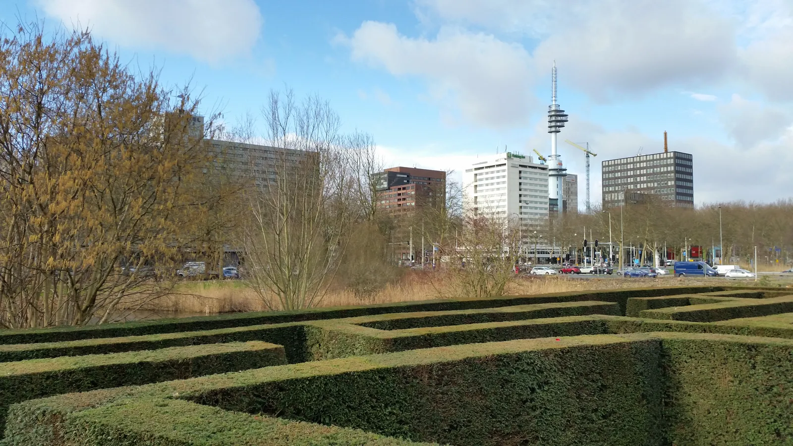 The clipped hedge maze in the Amstelpark in Amsterdam seen from above the hedges, with the office towers and cranes of the Zuidas and RAI district on the skyline behind it