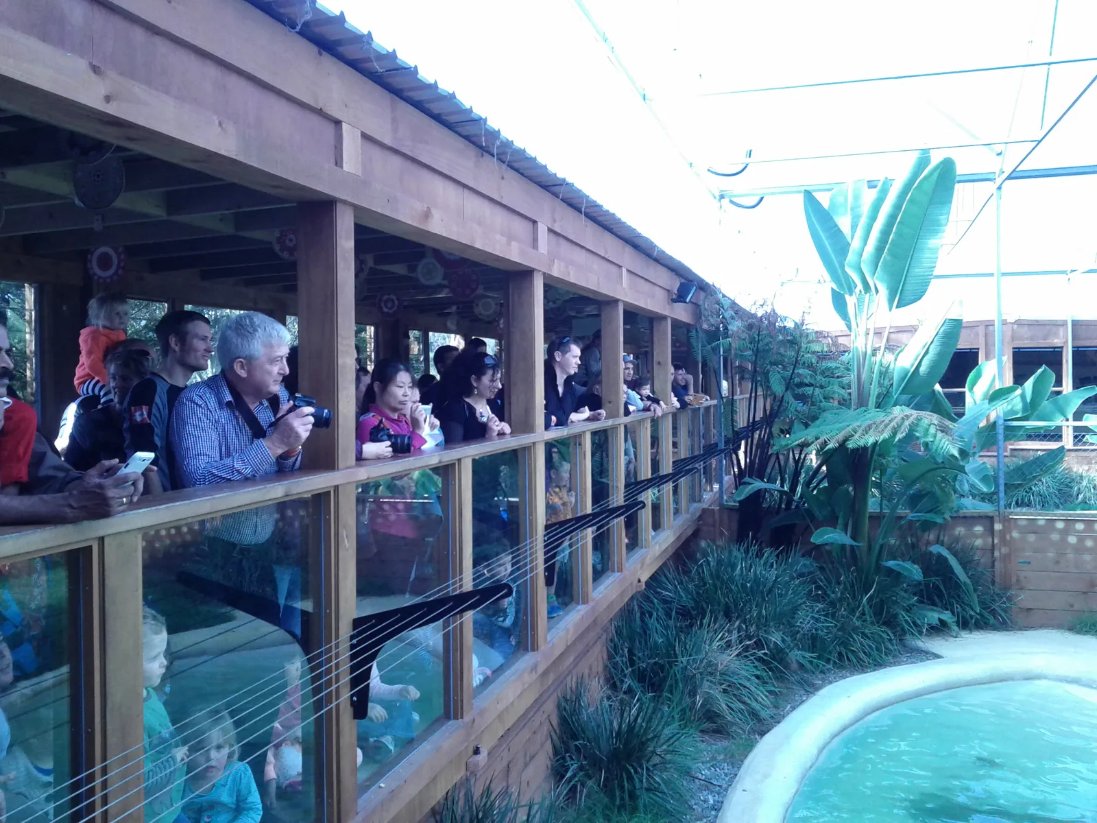 Visitors leaning on a timber viewing rail above a crocodile enclosure at Butterfly Creek near Auckland Airport, with tropical planting and a glasshouse roof behind them