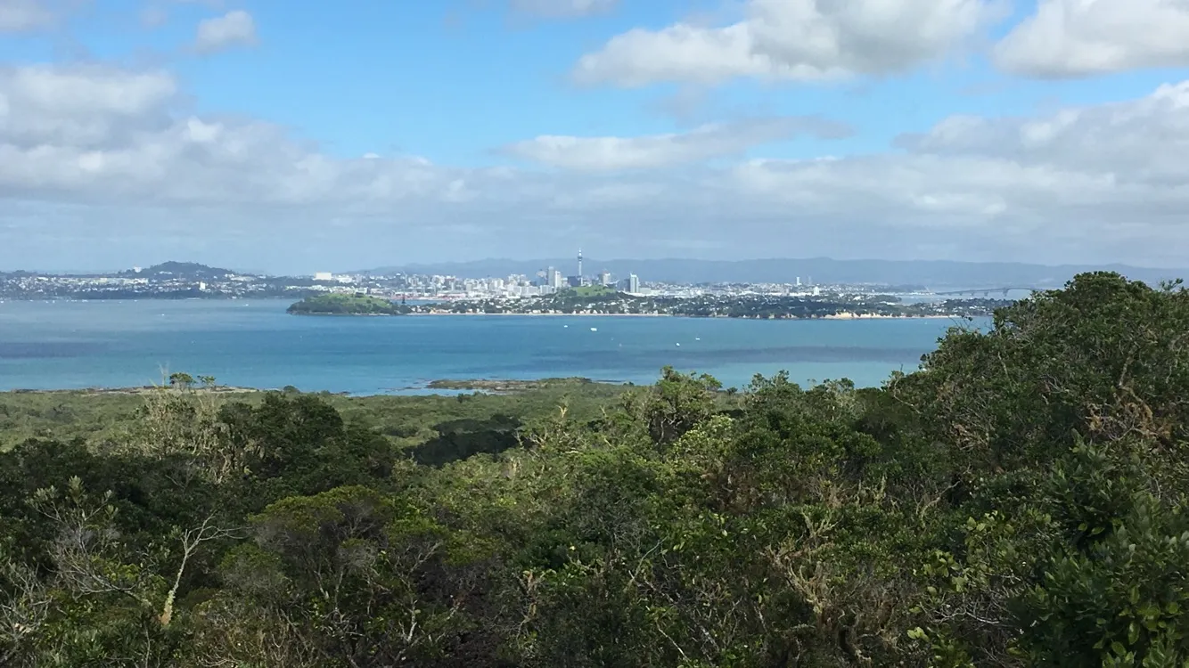 The view from the summit track on Rangitoto Island across bush-covered lava and the blue water of the harbor to Auckland's city skyline