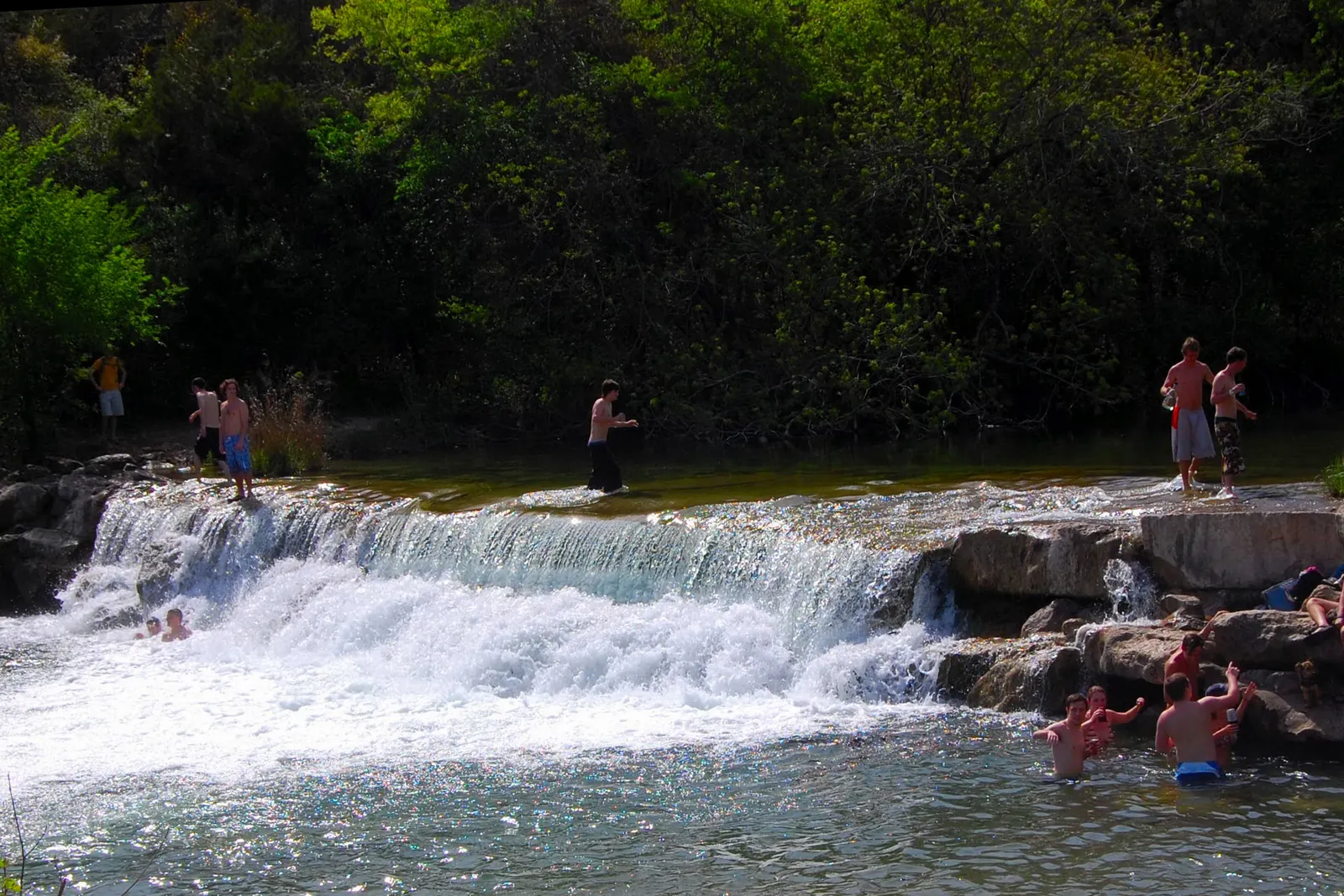 A low, wide waterfall on Barton Creek in Austin, clear green water spilling over a limestone ledge into a pool where people are swimming, with dense trees closing in on both banks