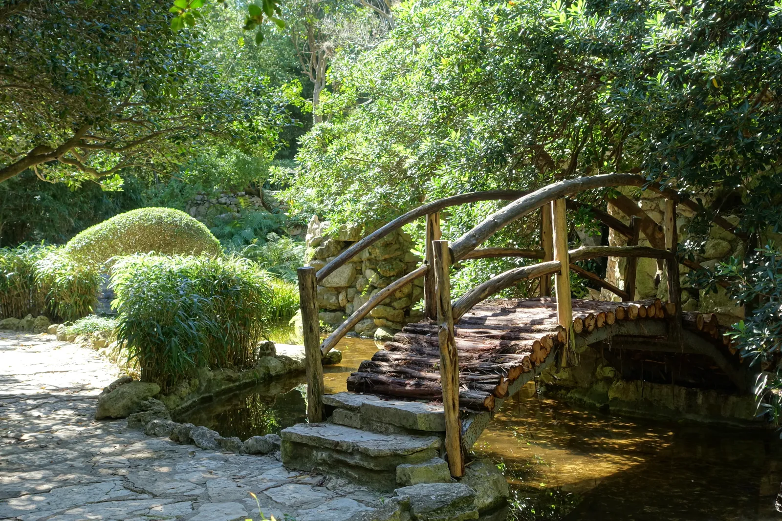 An arched timber footbridge over a still pond in the Isamu Taniguchi Japanese Garden in Austin, with clipped shrubs and a stone path on the near bank and heavy tree cover overhead