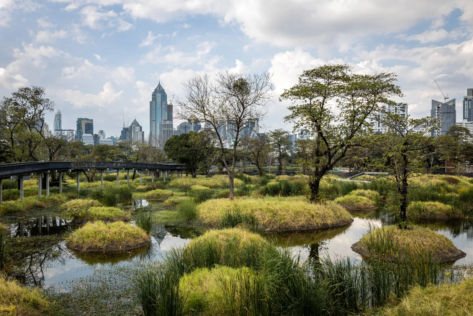 The wetlands at Benjakitti Forest Park in Bangkok, dozens of grass-topped islands standing in shallow water with a raised walkway threading between them and office towers on the skyline behind
