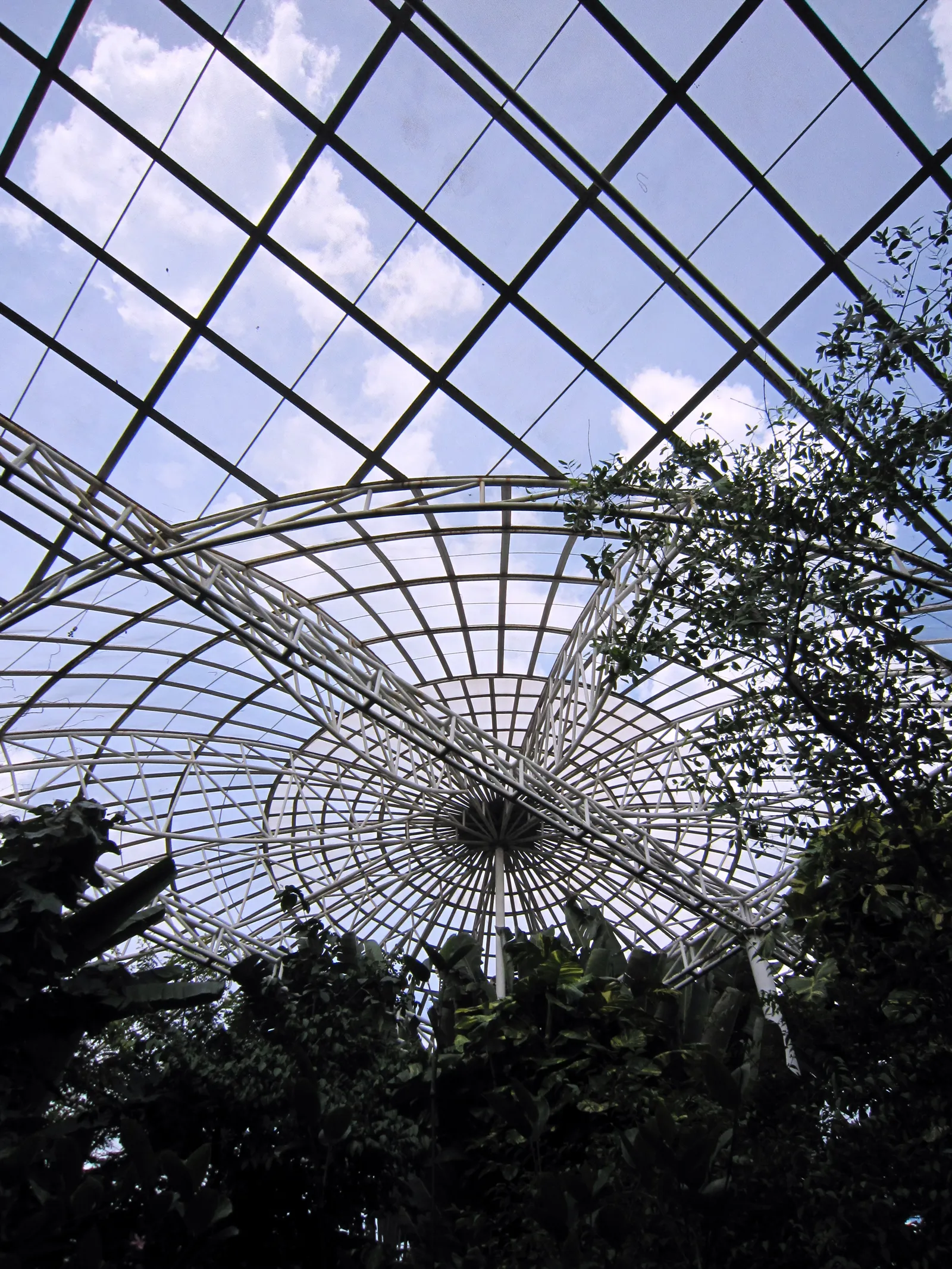 Looking up through the glass and white steel dome of the Bangkok Butterfly Garden and Insectarium, its ribs spiralling into a central point above dense tropical planting