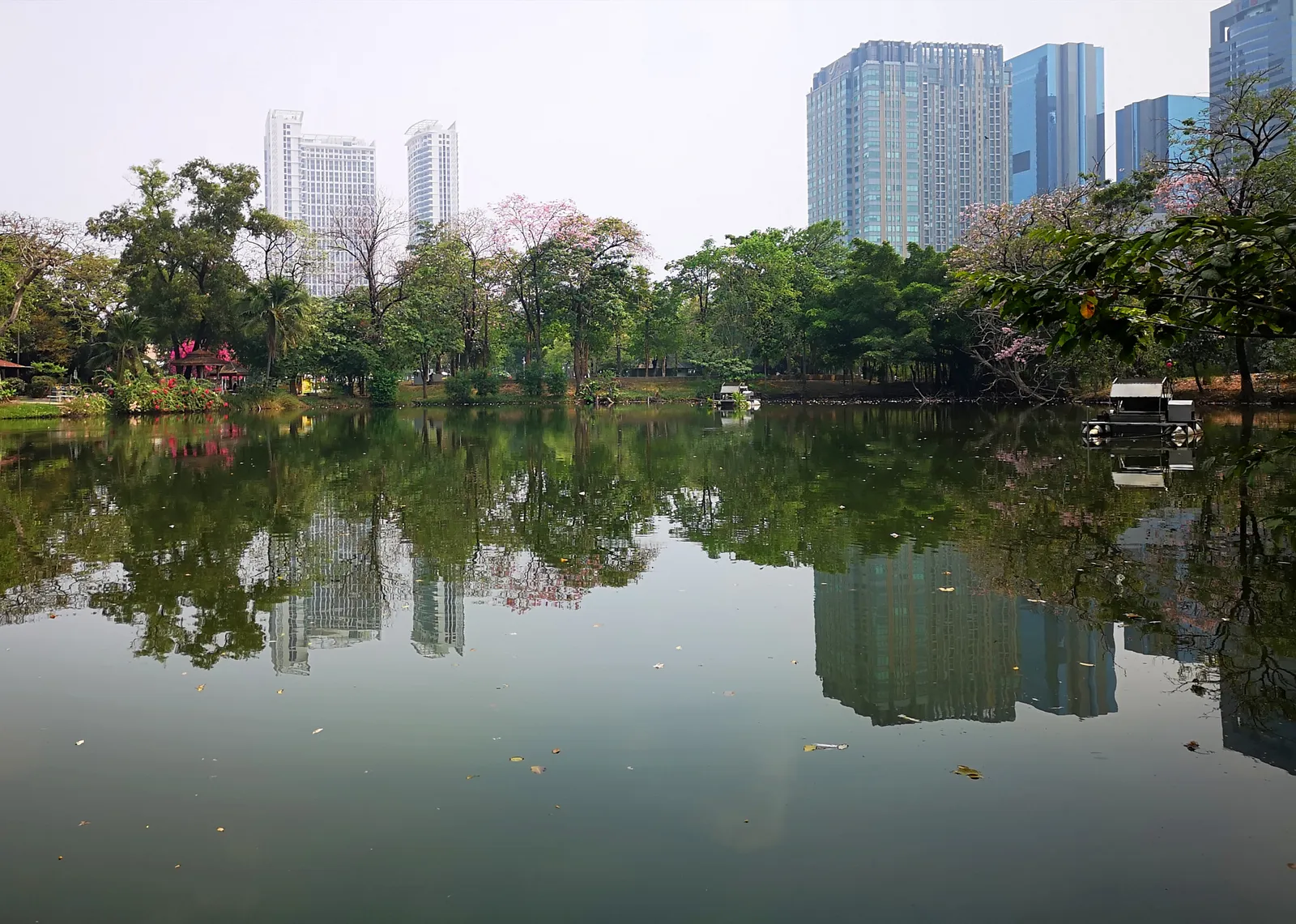 The lake at Rot Fai Park in Bangkok, still water reflecting a wooded bank with office towers rising above the treeline on the far side