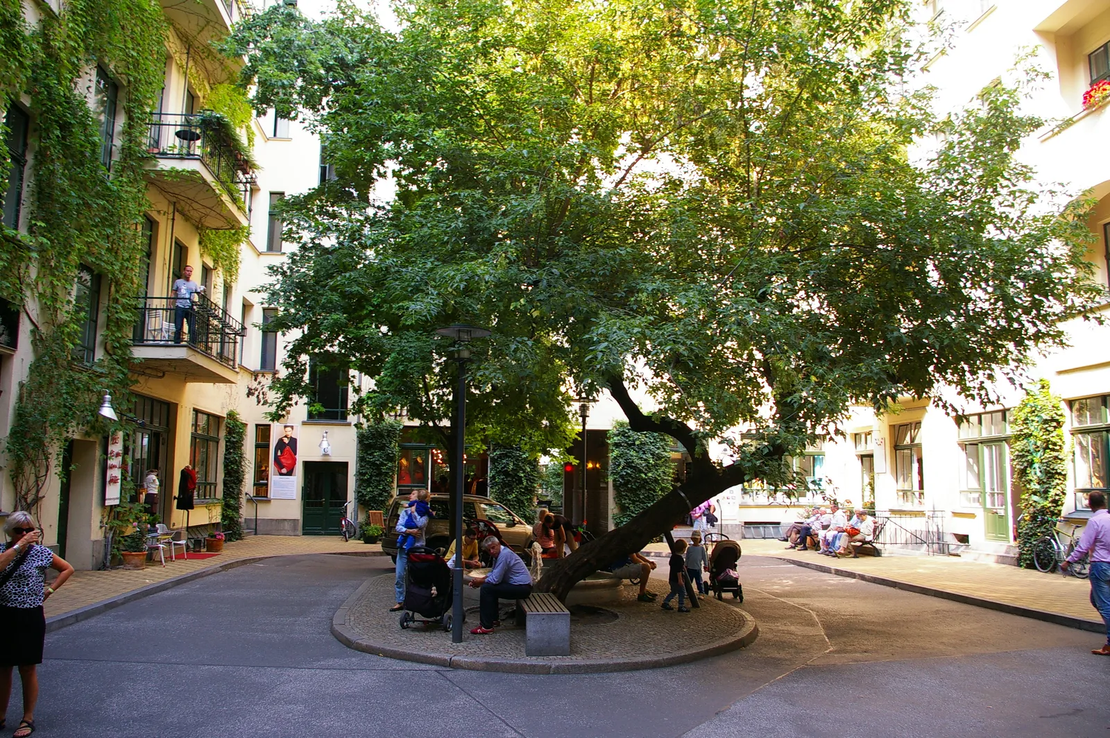 One of the inner courtyards of the Hackesche Höfe in Berlin, a paved square enclosed by ivy-covered apartment fronts with balconies, a large tree in the middle and people sitting at benches beneath it