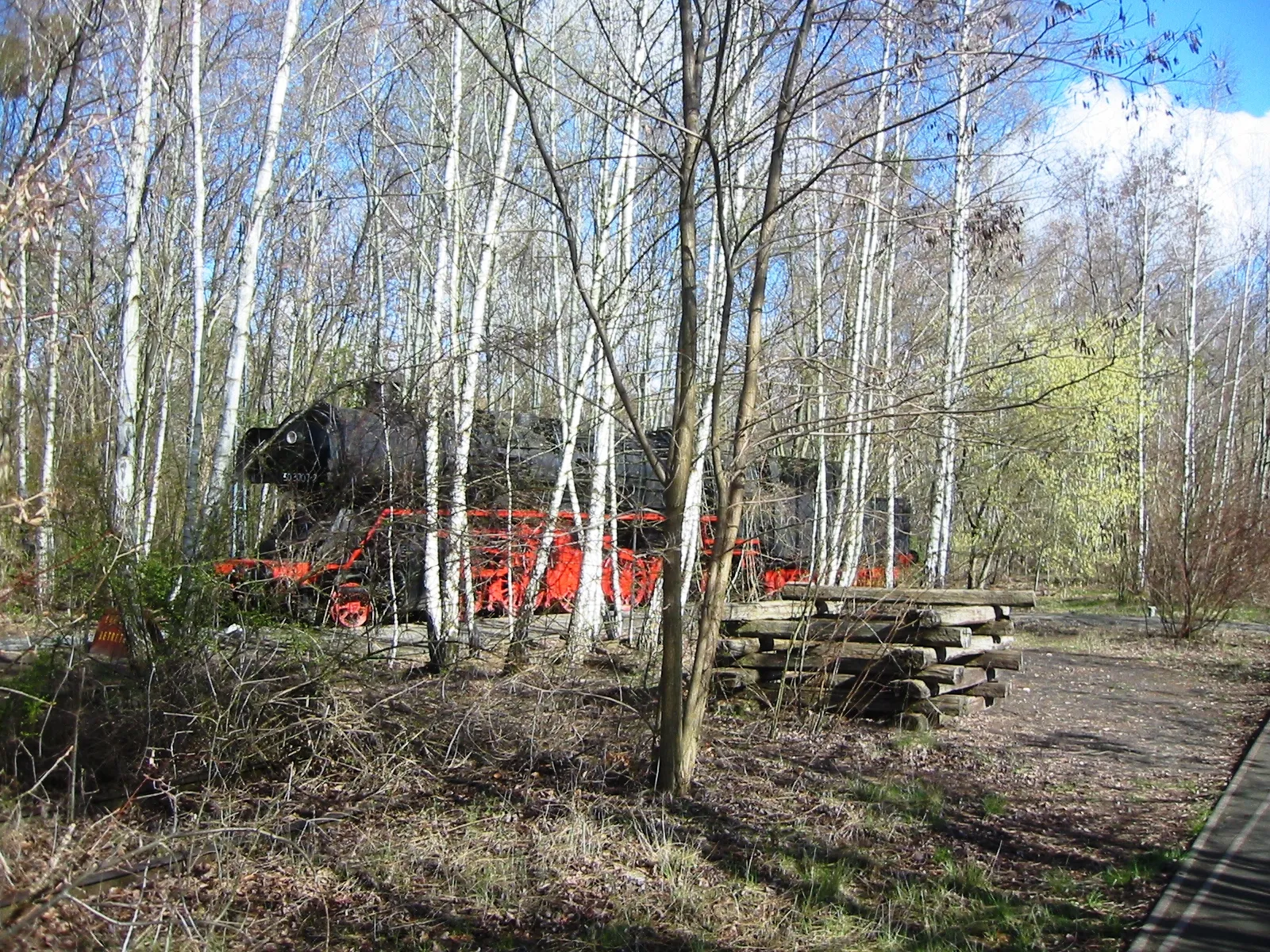 A rusting steam locomotive standing among slender birch trees in the Natur-Park Schöneberger Südgelände in Berlin, with a woodpile and a path through the undergrowth beside it