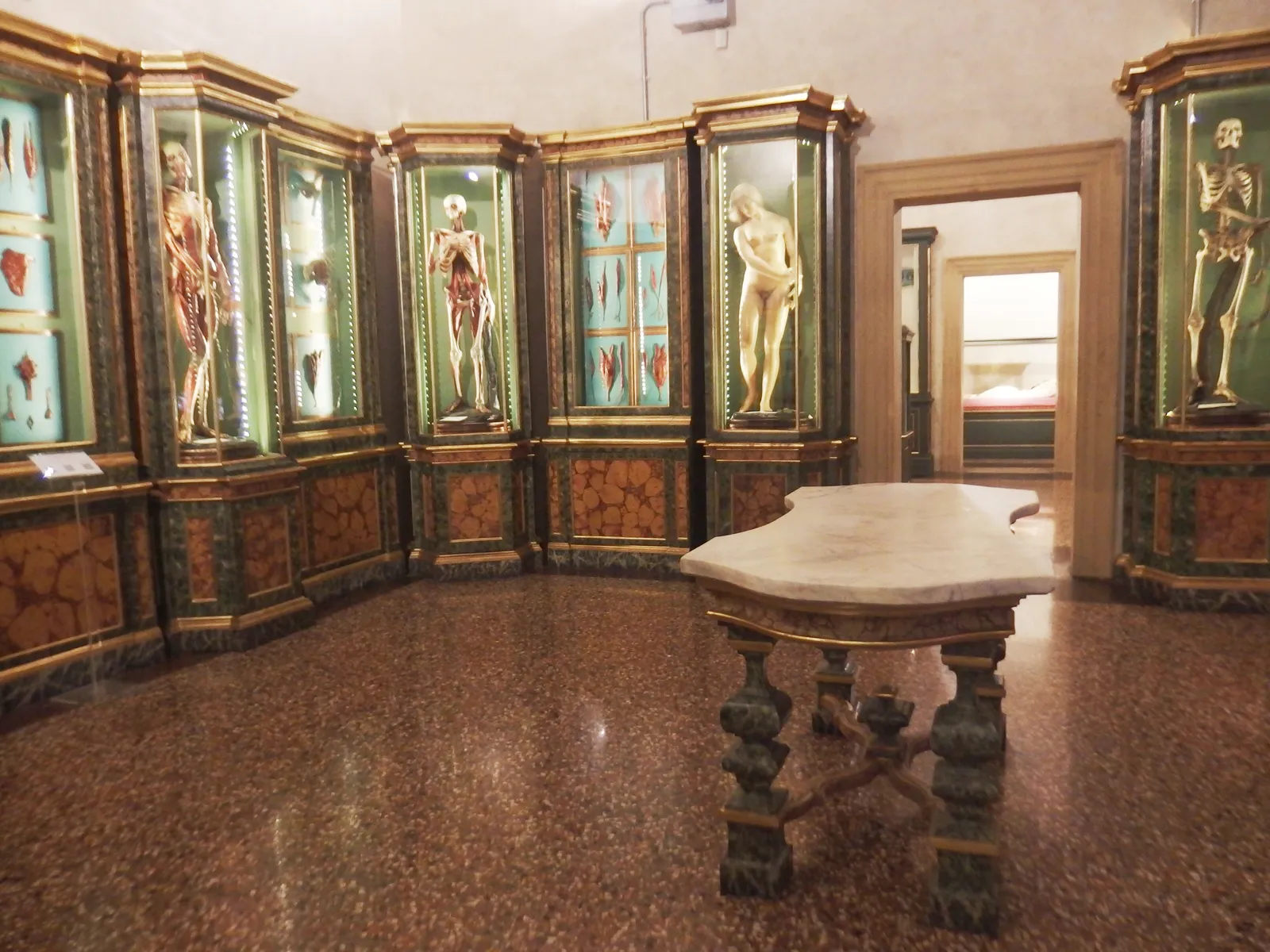 A room of the Palazzo Poggi museum in Bologna lined with painted glass-fronted cabinets holding life-size 18th-century anatomical wax figures and a skeleton, a marble-topped table in the middle