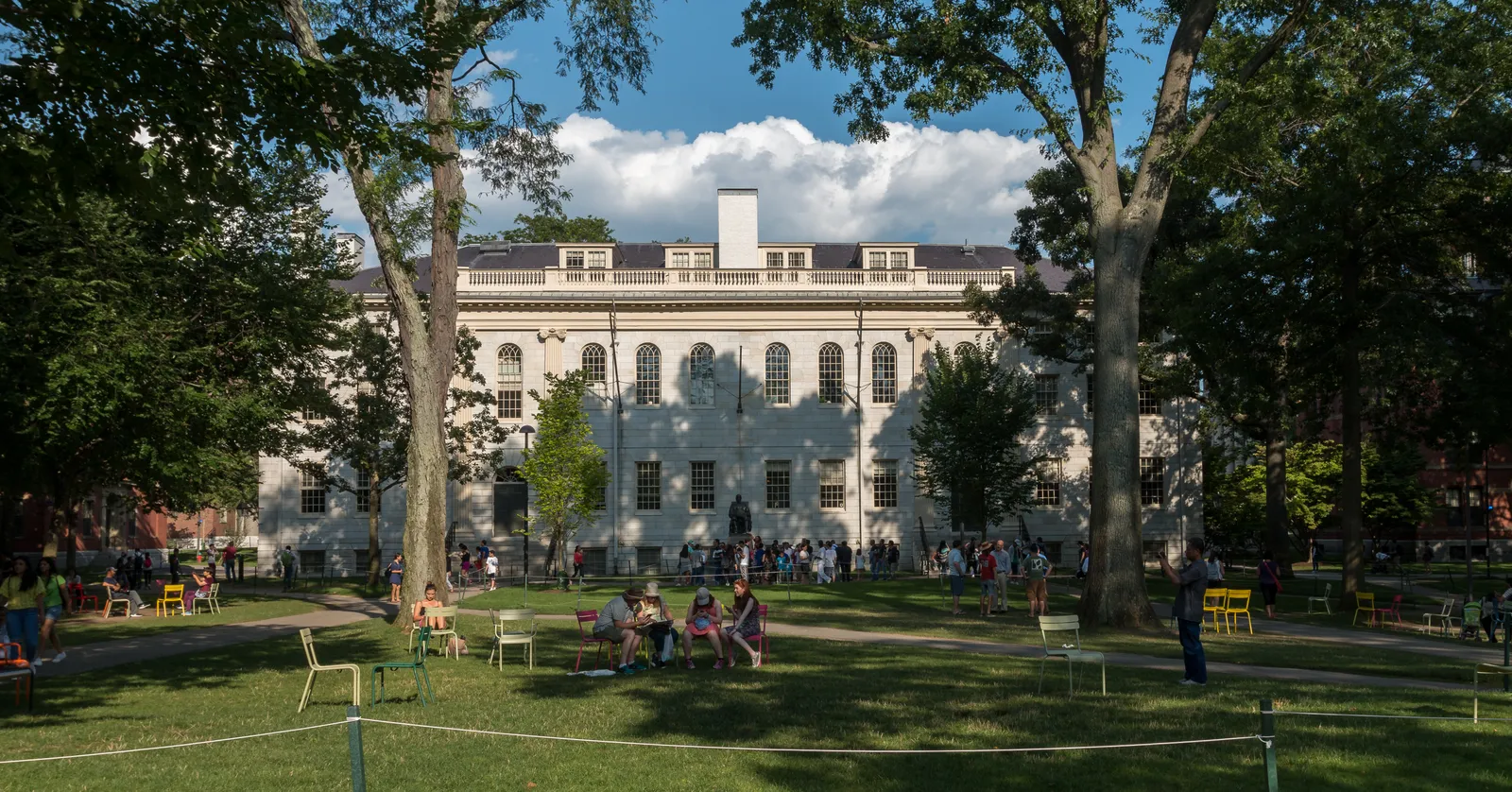 Harvard Yard in summer, a lawn under old trees with scattered wooden chairs and students sitting out, and the columned front of University Hall behind