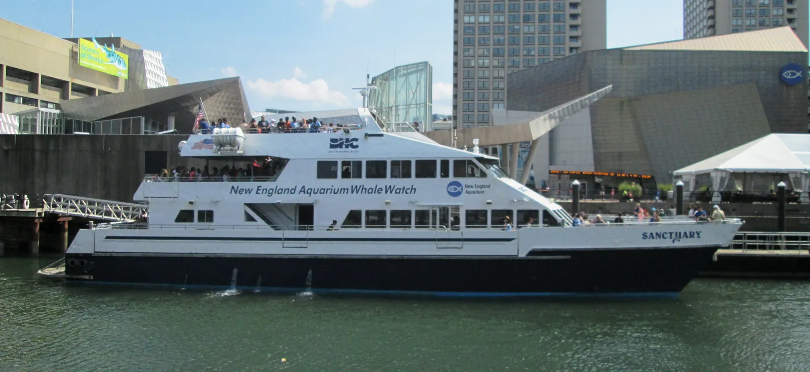 A white whale-watch catamaran moored at Central Wharf on Boston's downtown waterfront, beside the New England Aquarium