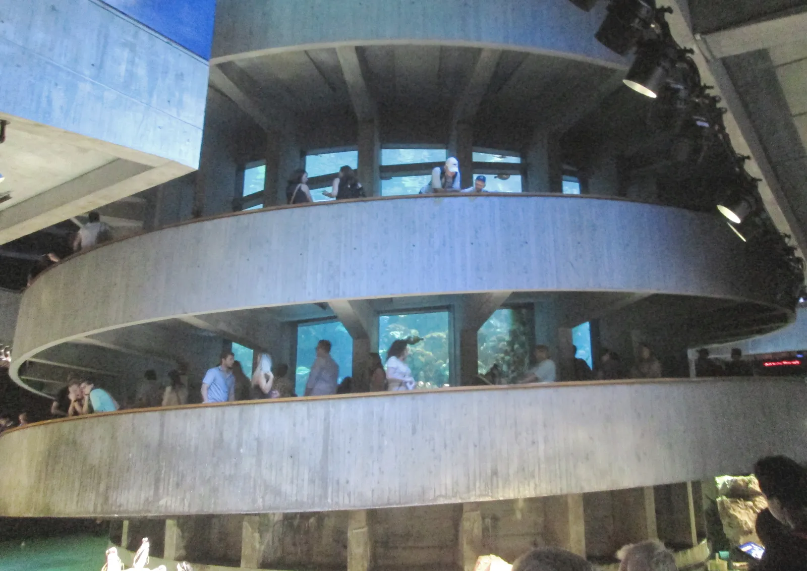 The spiral walkway inside the New England Aquarium in Boston, concrete ramps curving around the Giant Ocean Tank with visitors at the viewing windows on each level