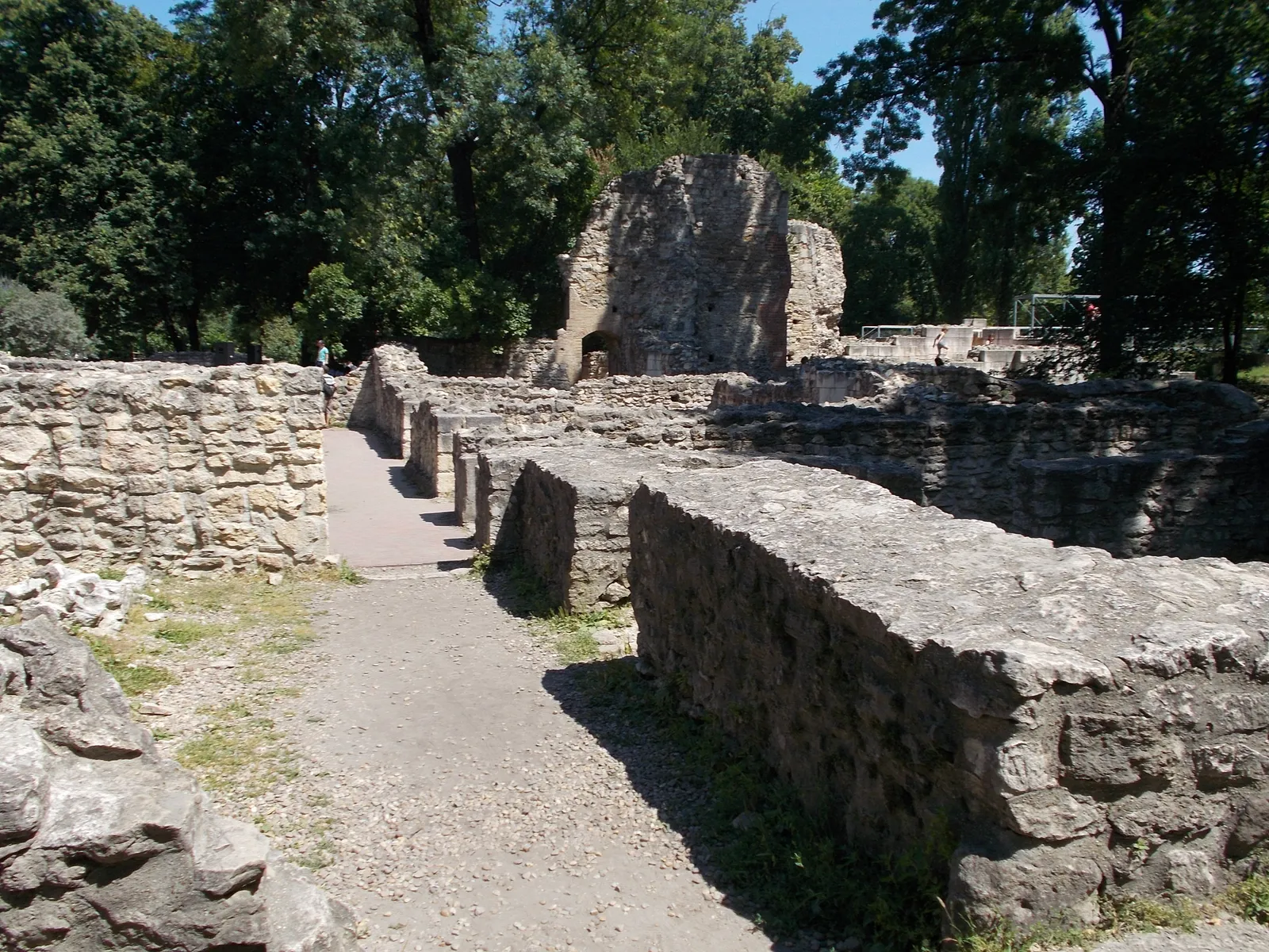 The excavated ruins of the Dominican convent on Margaret Island in Budapest, low limestone walls and a standing fragment of a gable end, with a gravel path running between them under trees