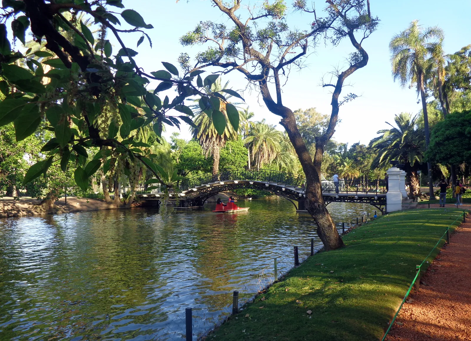 A red pedal boat passing under the arched bridge on the Rosedal lake in Palermo, Buenos Aires, with palms and spreading trees along both banks and a mown grass edge in the foreground