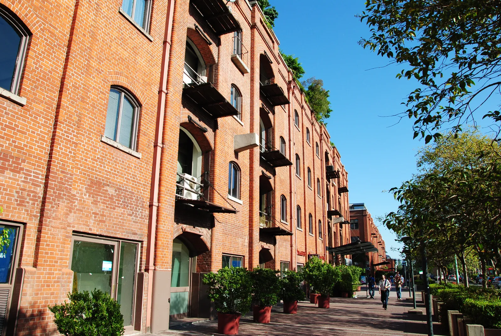 A row of converted red brick port warehouses in Puerto Madero, Buenos Aires, four storeys high with iron balconies bolted to the brickwork and potted shrubs along the paved walkway in front