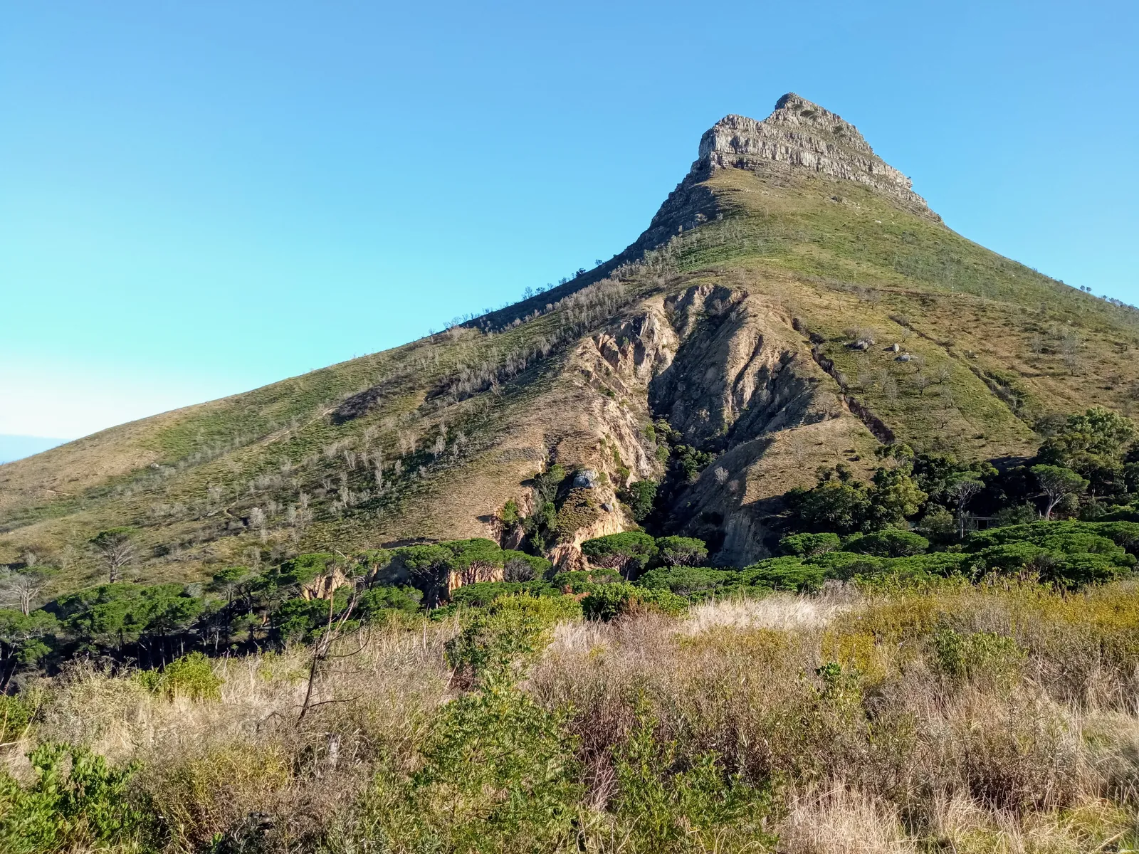 Lion's Head in Cape Town, a rocky summit on a steep, grassy ridge with bare sandstone crags on its flank and fynbos scrub in the foreground, under a clear blue sky