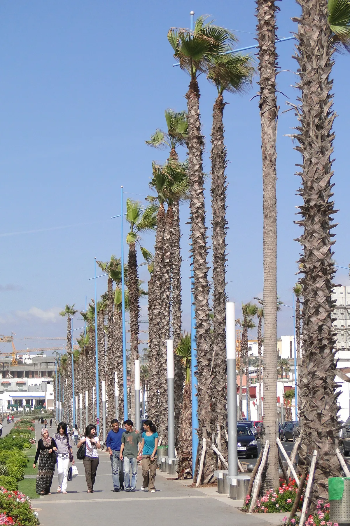 The seafront promenade on Casablanca's Ain Diab corniche, two rows of tall palms running away down a wide paved walkway under a clear sky, with a family walking towards the camera and white buildings along the boulevard behind