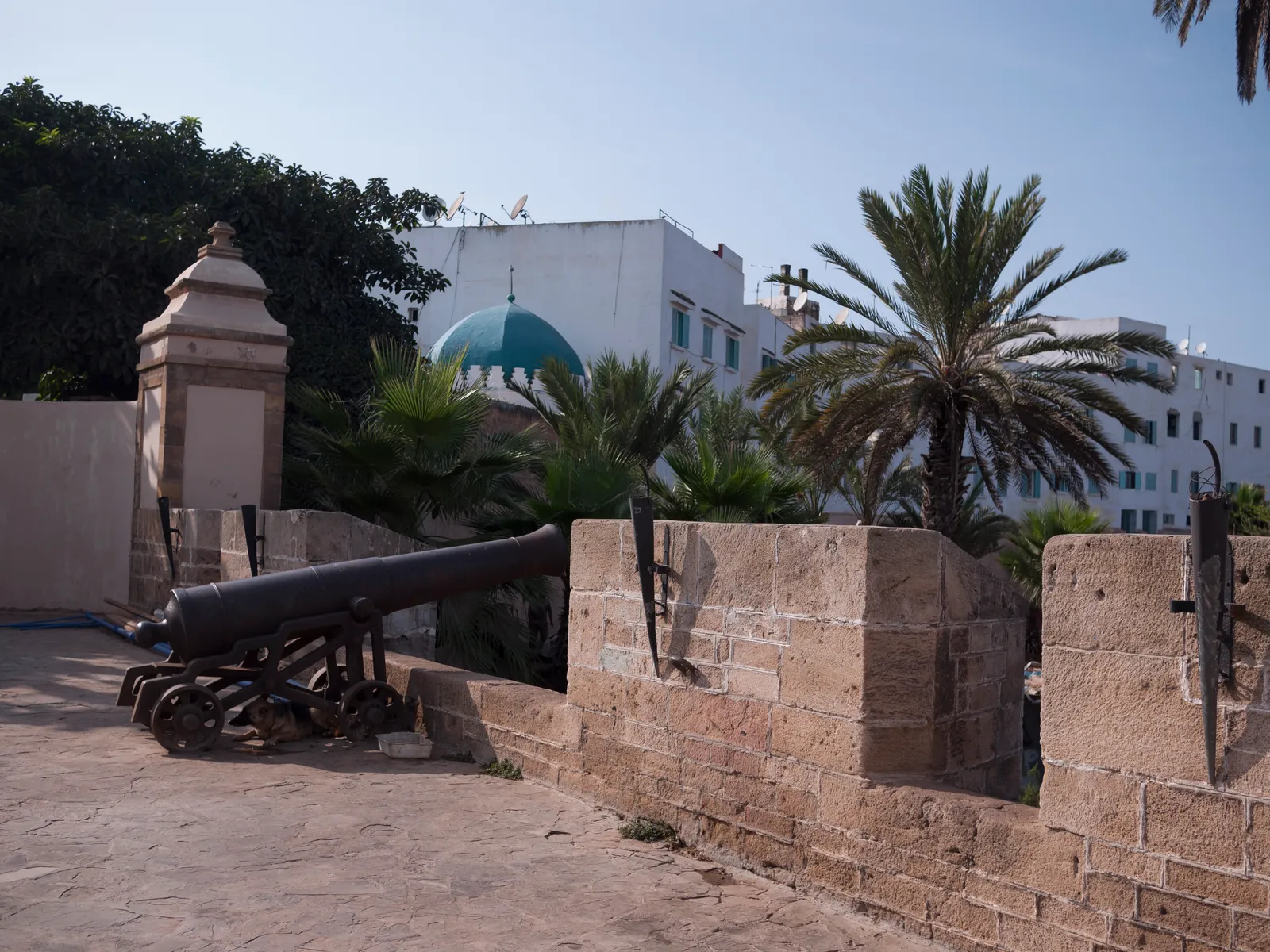 An iron cannon on a wooden carriage standing on the stone rampart of the sqala in Casablanca, the parapet running away to the right, with palms, white medina houses and a green-tiled minaret behind