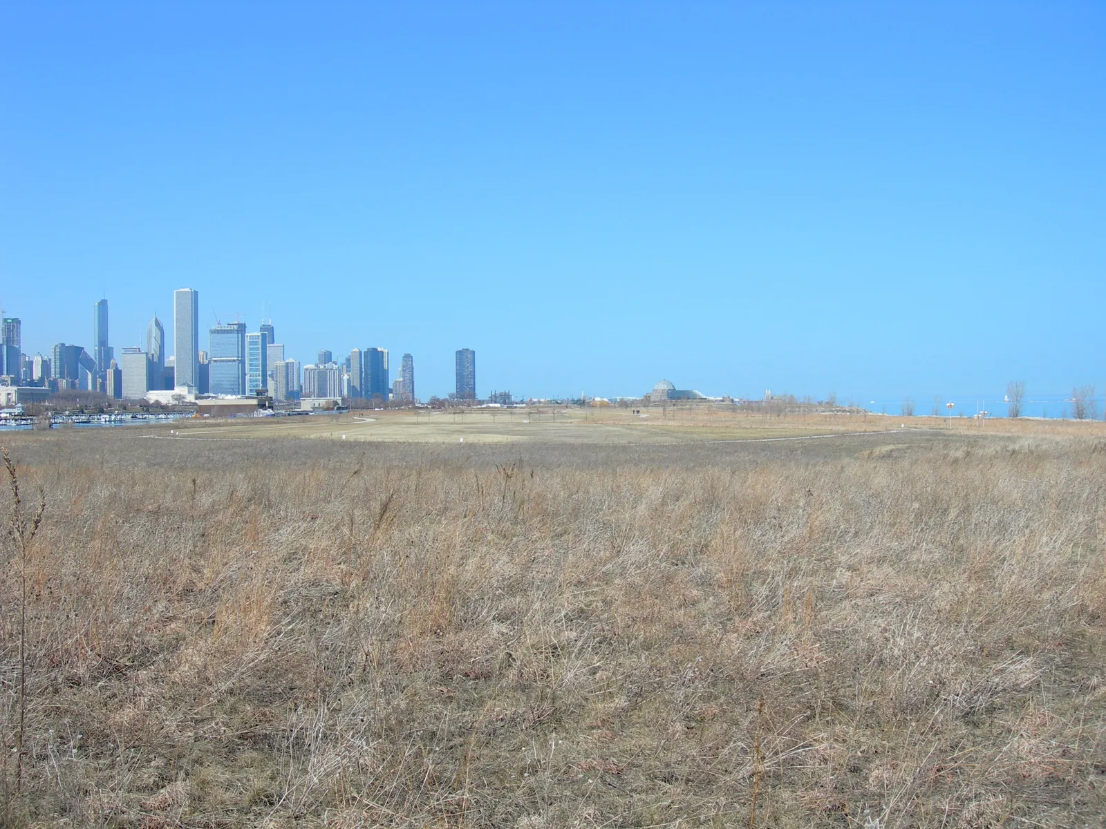Open dry grassland covering the southern end of Northerly Island in Chicago, flat to the horizon, with the towers of the Loop standing along the skyline to the north