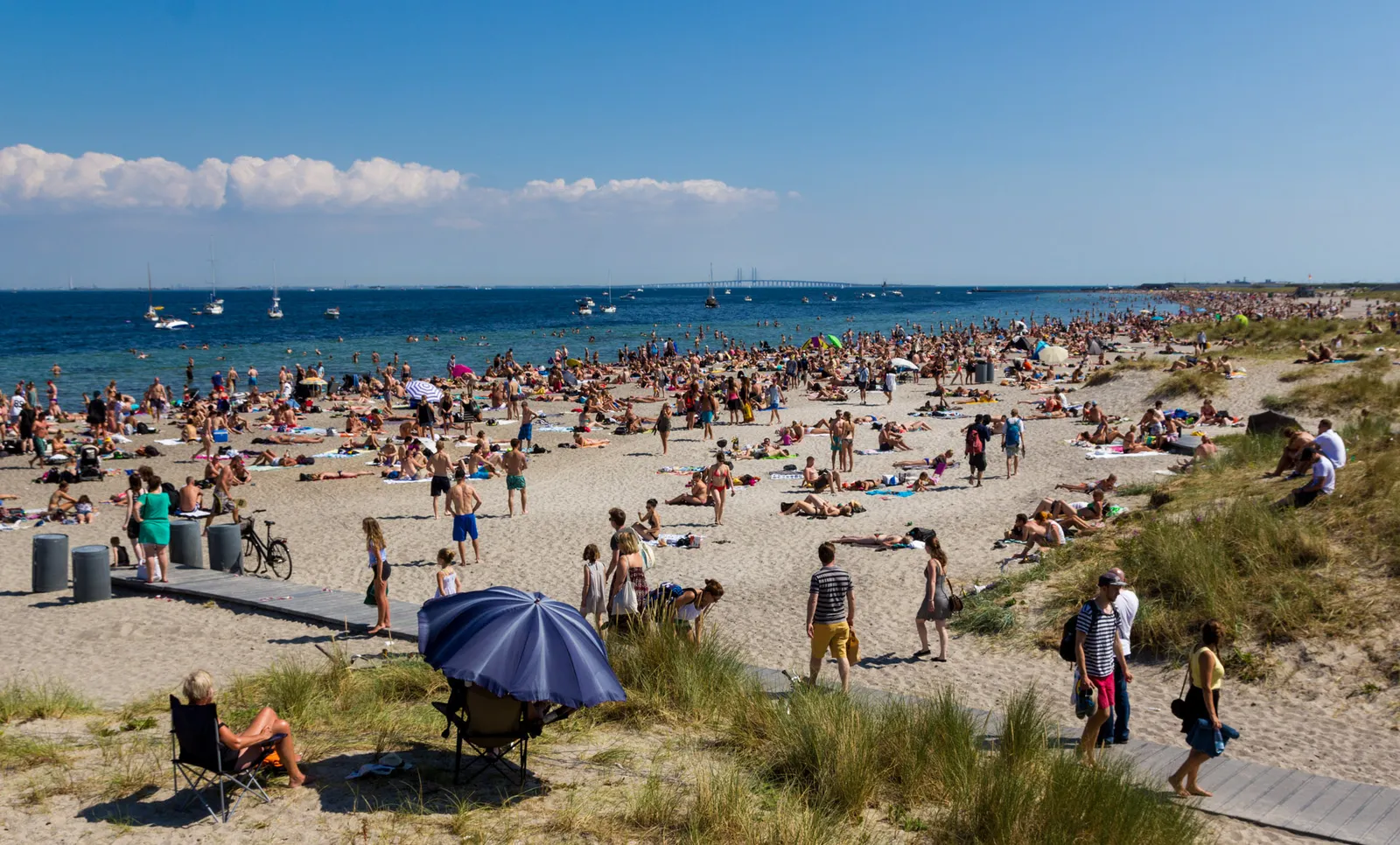 The beach at Amager Strandpark in Copenhagen on a hot day, pale sand crowded with sunbathers and swimmers, marram grass in the foreground and sailing boats out on the blue water of the Øresund