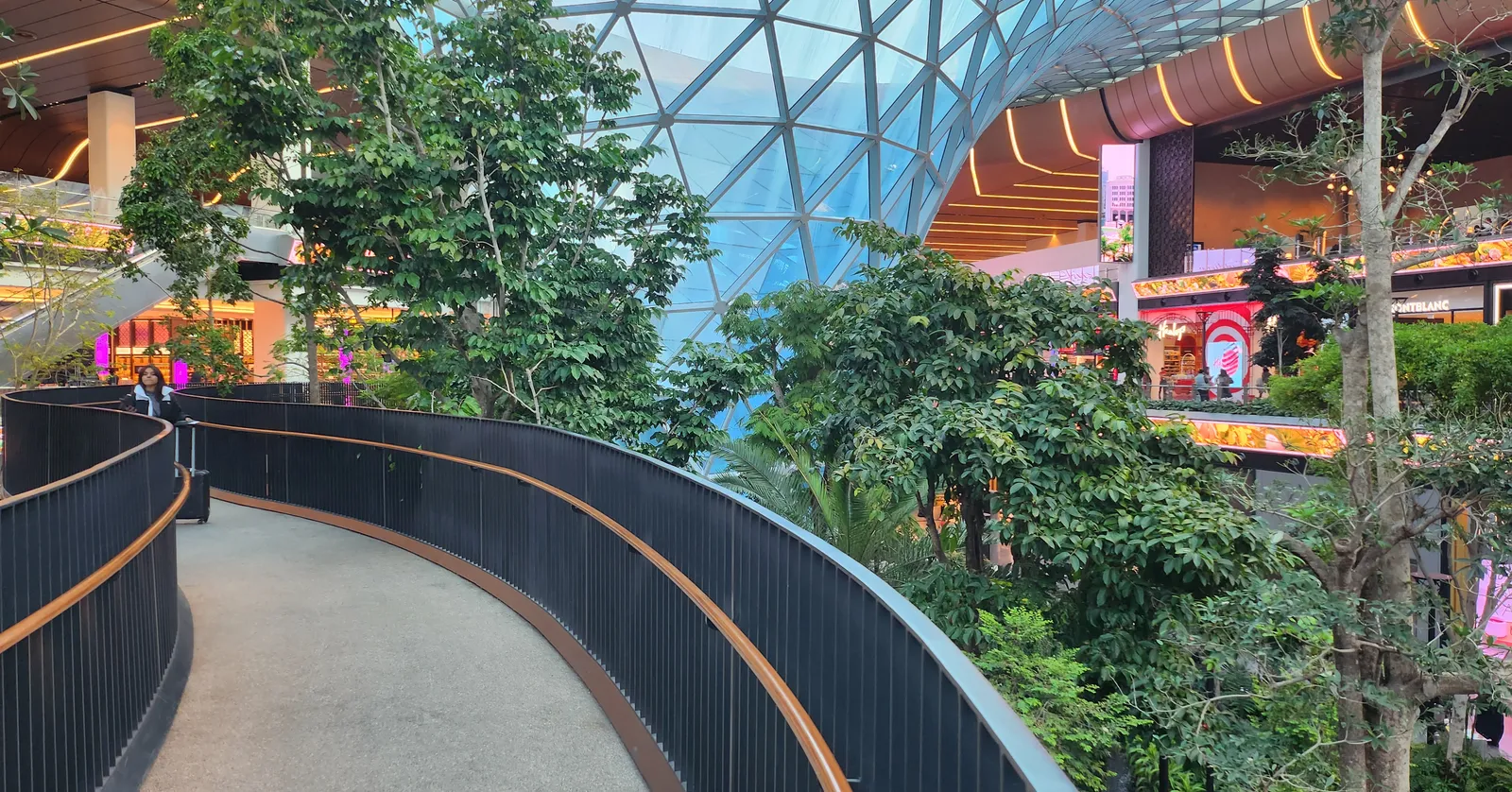 A curving raised walkway running through The Orchard at Hamad International Airport, dense green trees on both sides under a triangulated glass canopy