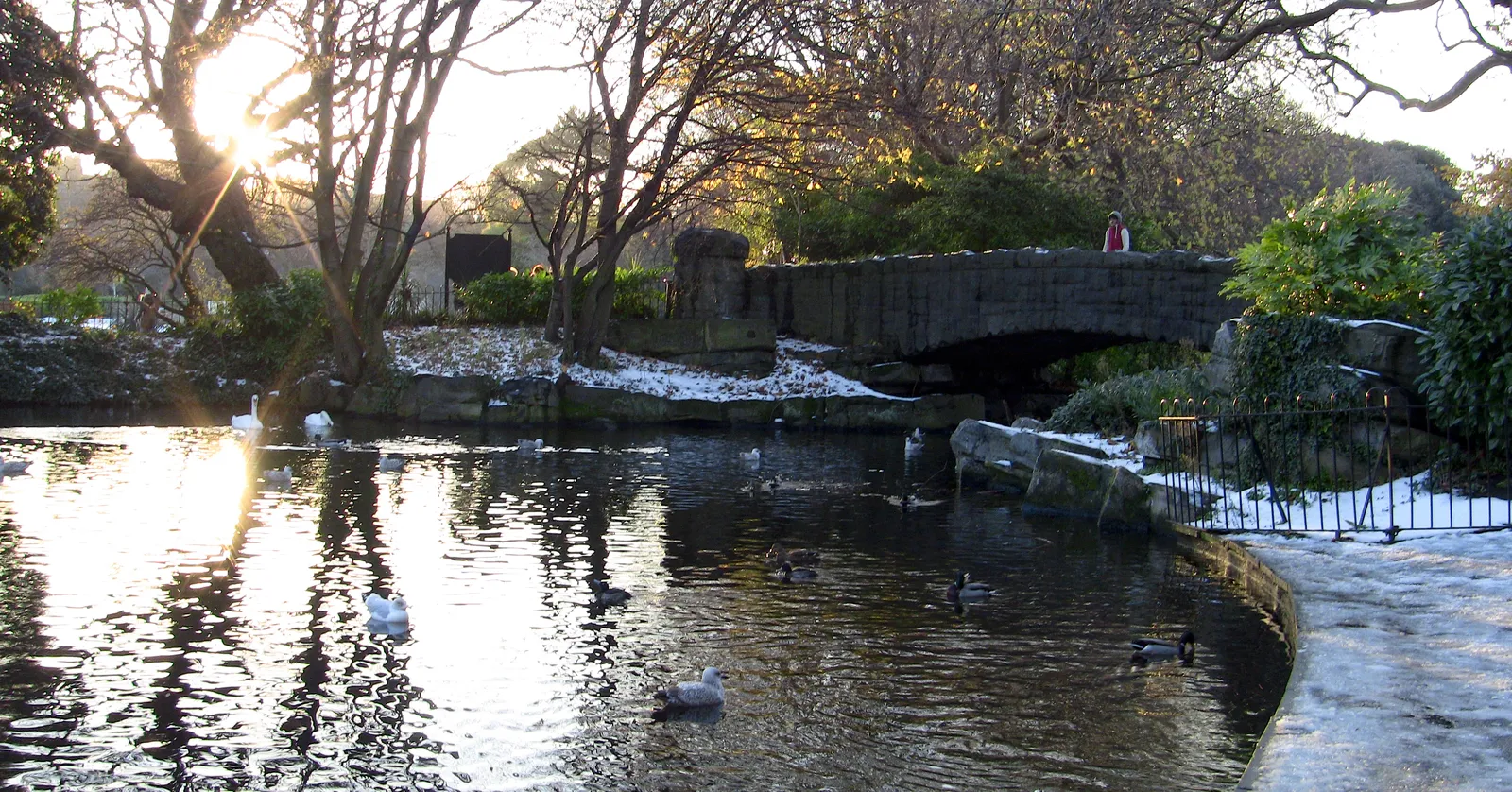 The ornamental lake in St Stephen's Green, Dublin, with swans and ducks on the water, a low stone humpback bridge crossing it and winter sun coming through the bare trees behind