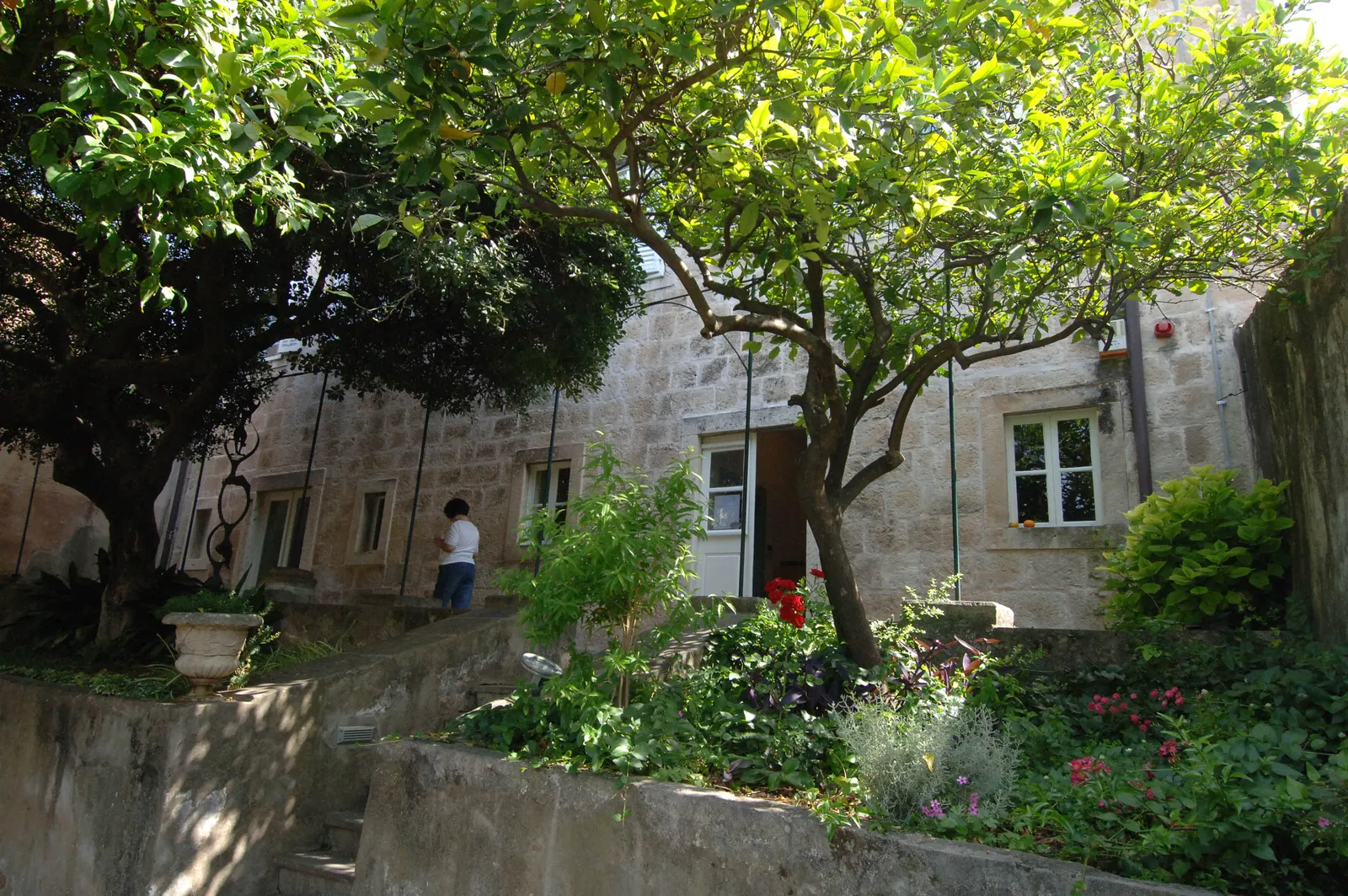The garden side of Vlaho Bukovac's house in Cavtat, a pale stone building with green shutters set behind fruit trees, flowerbeds and a stepped terrace