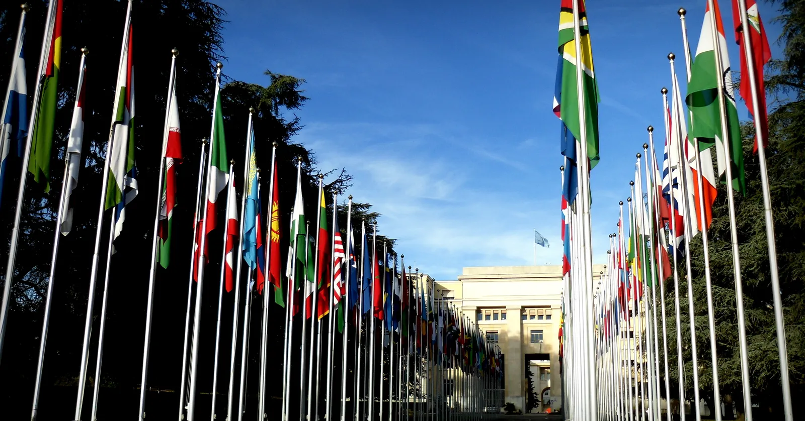 Two lines of national flags on tall poles leading toward the stone facade of the Palais des Nations in Geneva under a clear blue sky